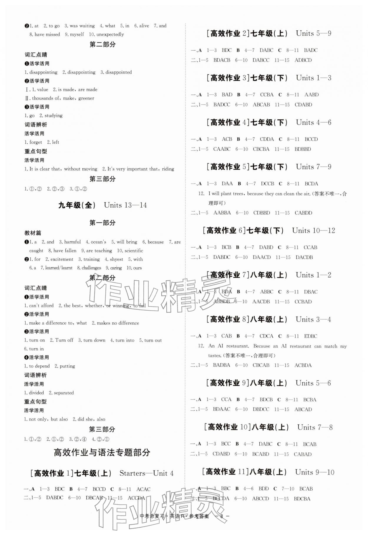 2026年精彩三年中考总复习英语人教版&nbsp;第8页