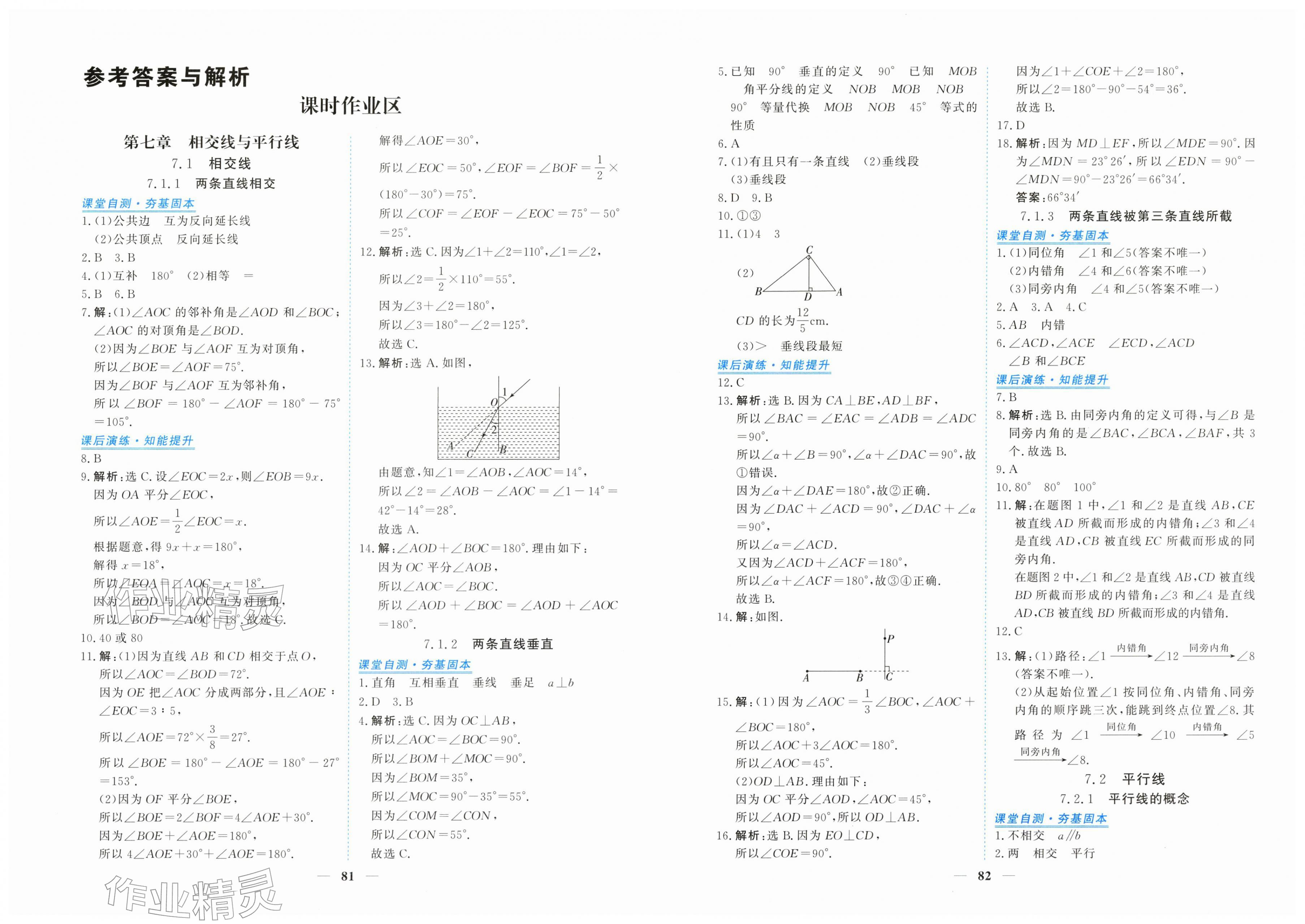 2026年新坐标同步练习七年级数学下册人教版青海专用&nbsp;第1页