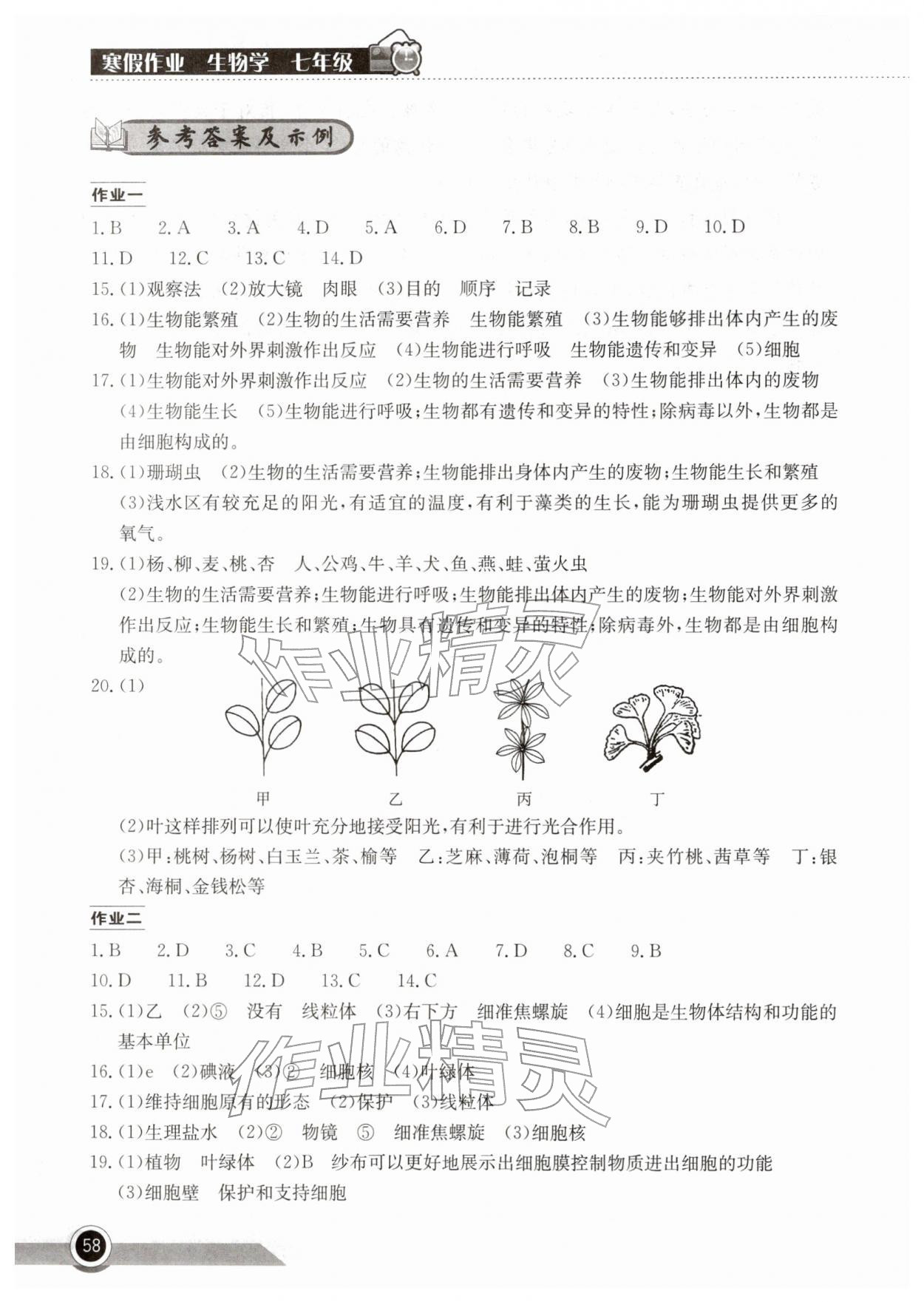 2026年长江作业本寒假作业湖北教育出版社七年级生物&nbsp;参考答案第1页