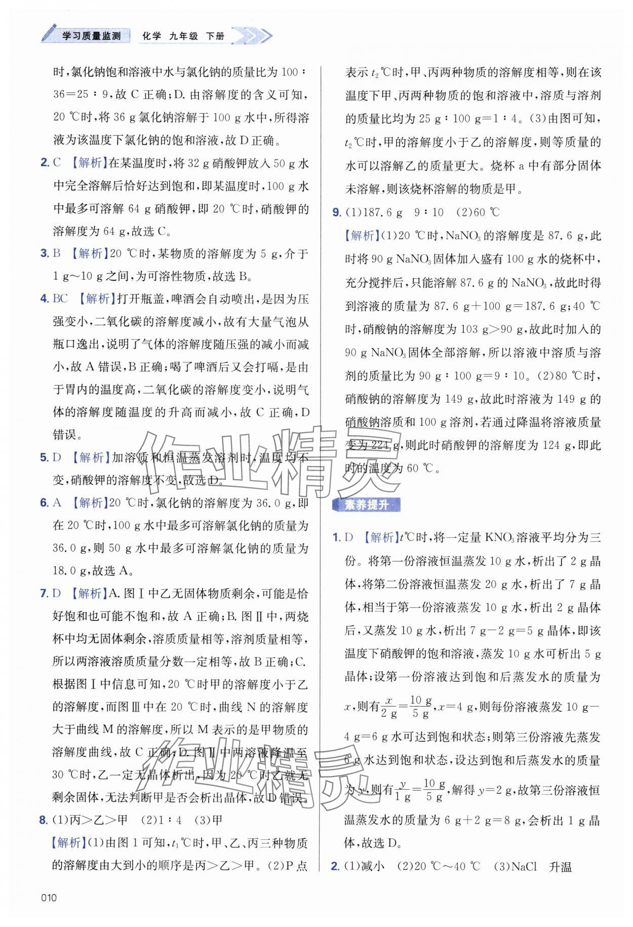 2025年學(xué)習(xí)質(zhì)量監(jiān)測九年級化學(xué)下冊人教版 第10頁