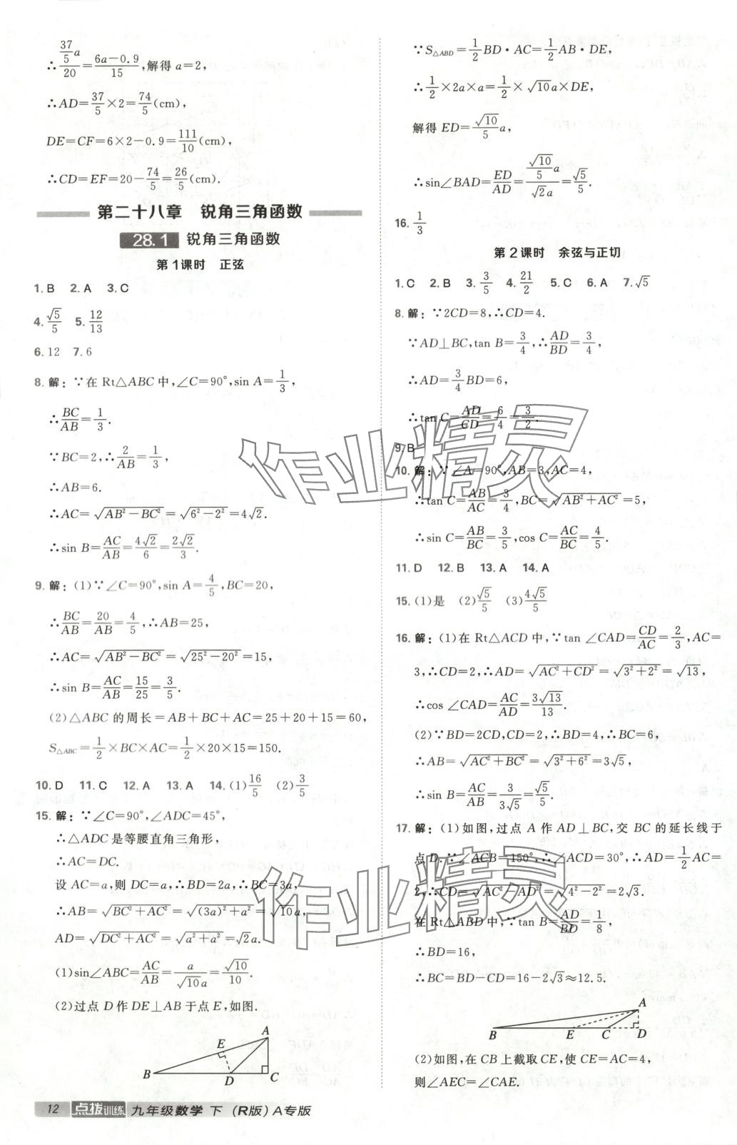 2025年点拨训练九年级数学下册人教版河北专版 第12页