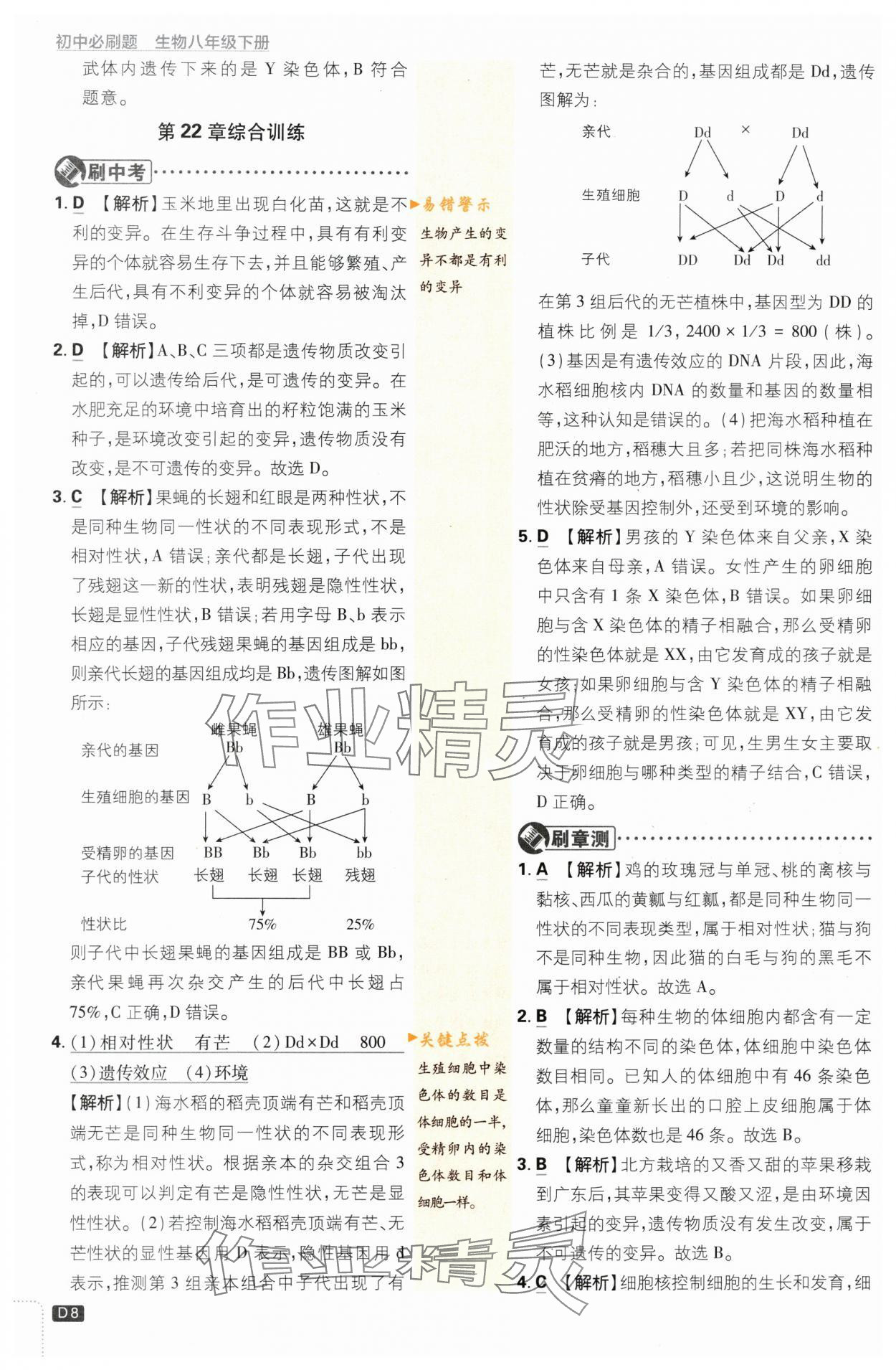 2024年初中必刷题八年级生物下册苏教版 第8页