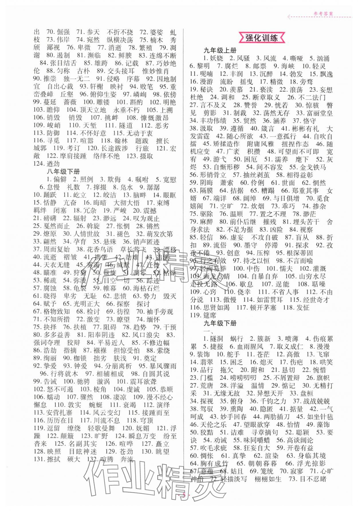 2025年廣東初中升學指導強化訓練語文 第5頁