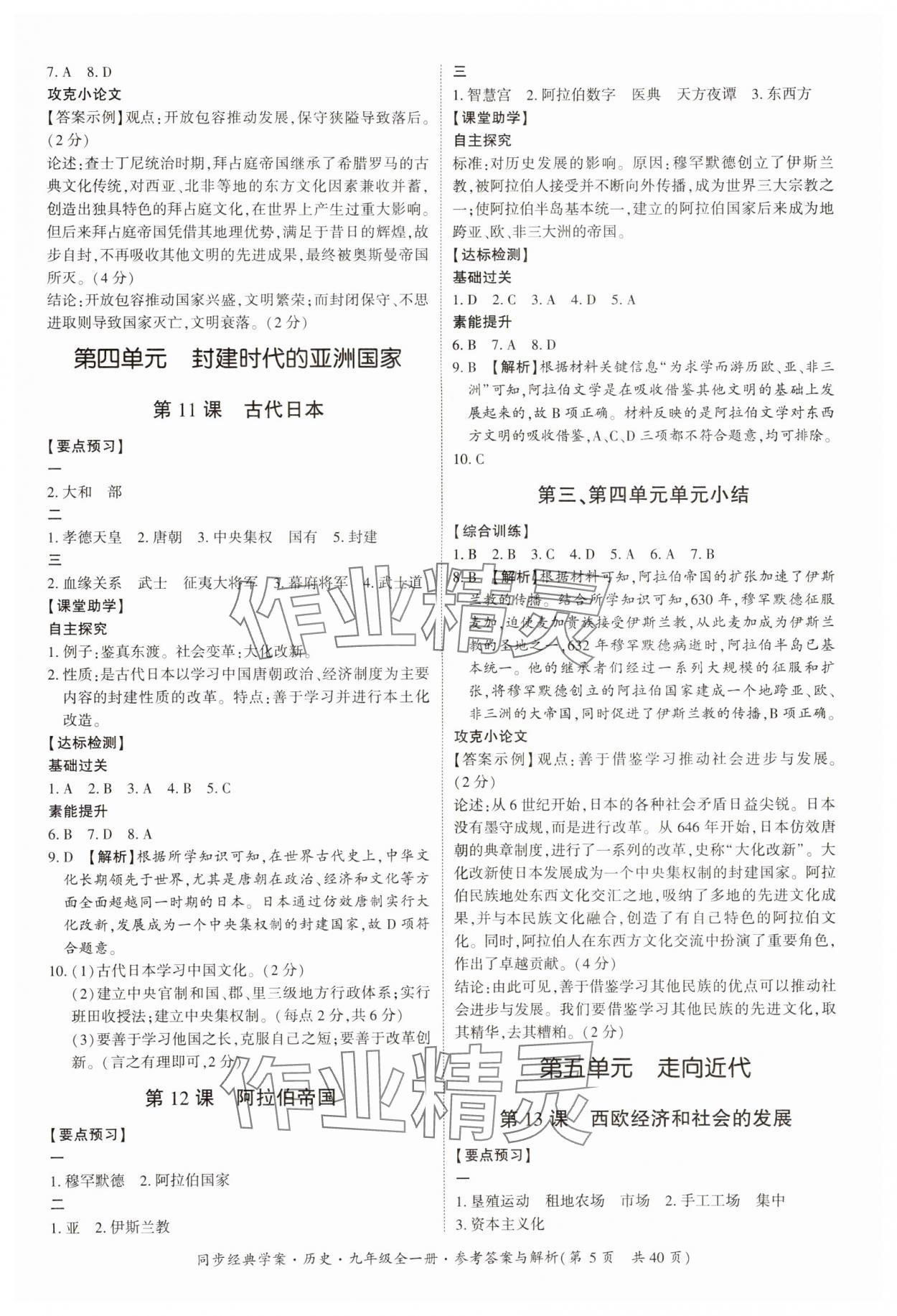 2024年同步經(jīng)典學案九年級歷史全一冊人教版 第5頁