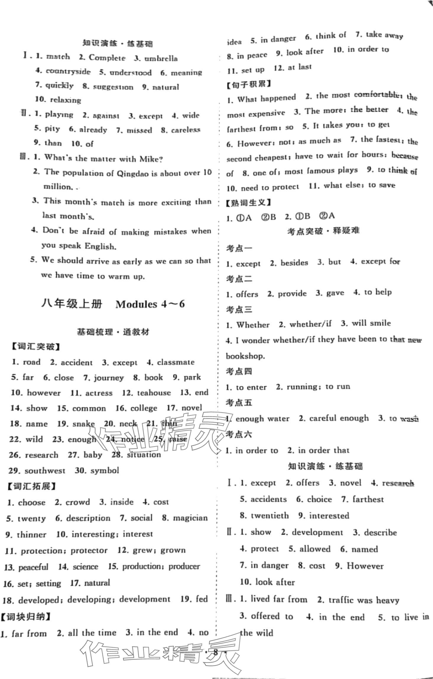 2024年初中總復(fù)習(xí)山東畫(huà)報(bào)出版社英語(yǔ)中考 第8頁(yè)