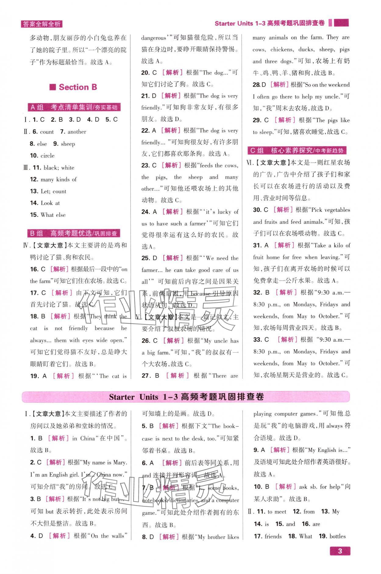 2025年考点集训与满分备考七年级英语上册人教版 第3页