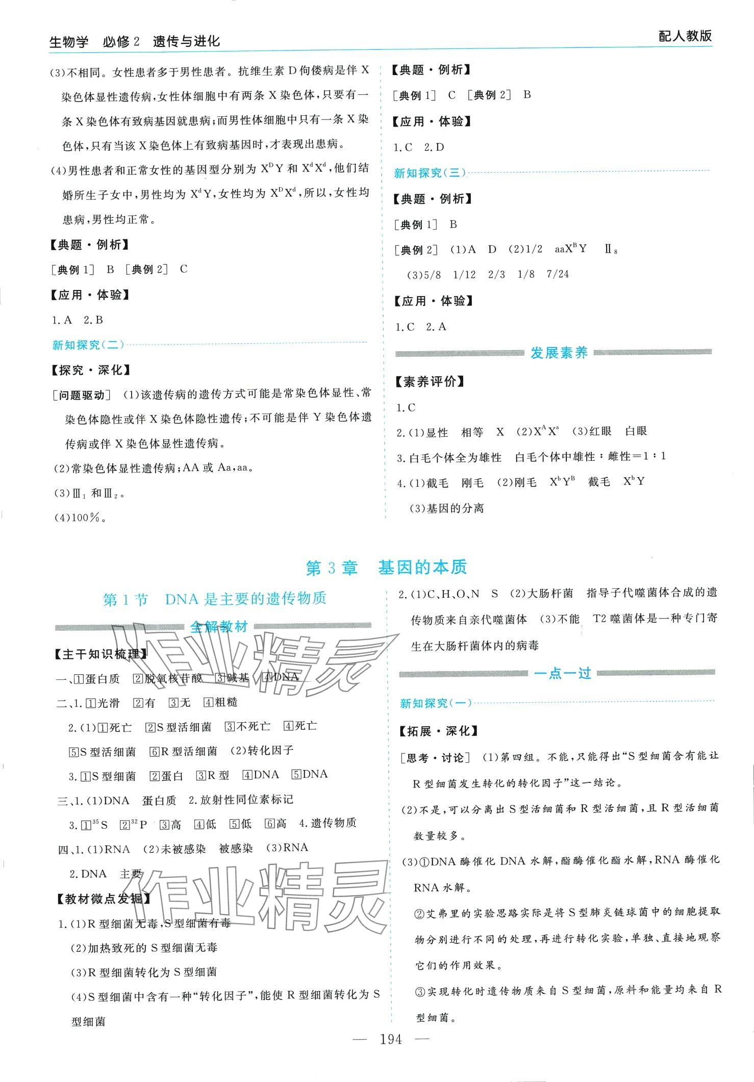 2024年新課程學習指導高中生物必修2人教版 第6頁