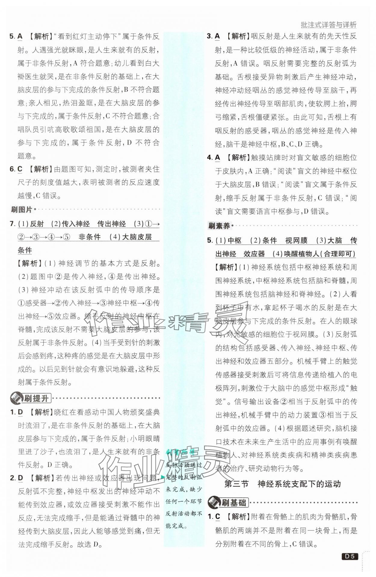 2025年初中必刷題八年級(jí)生物上冊(cè)人教版 第5頁