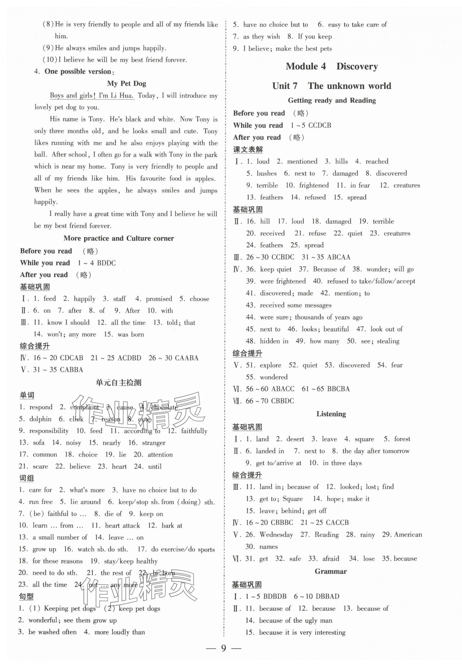 2025年領跑作業(yè)本八年級英語下冊人教版廣州專版 第9頁