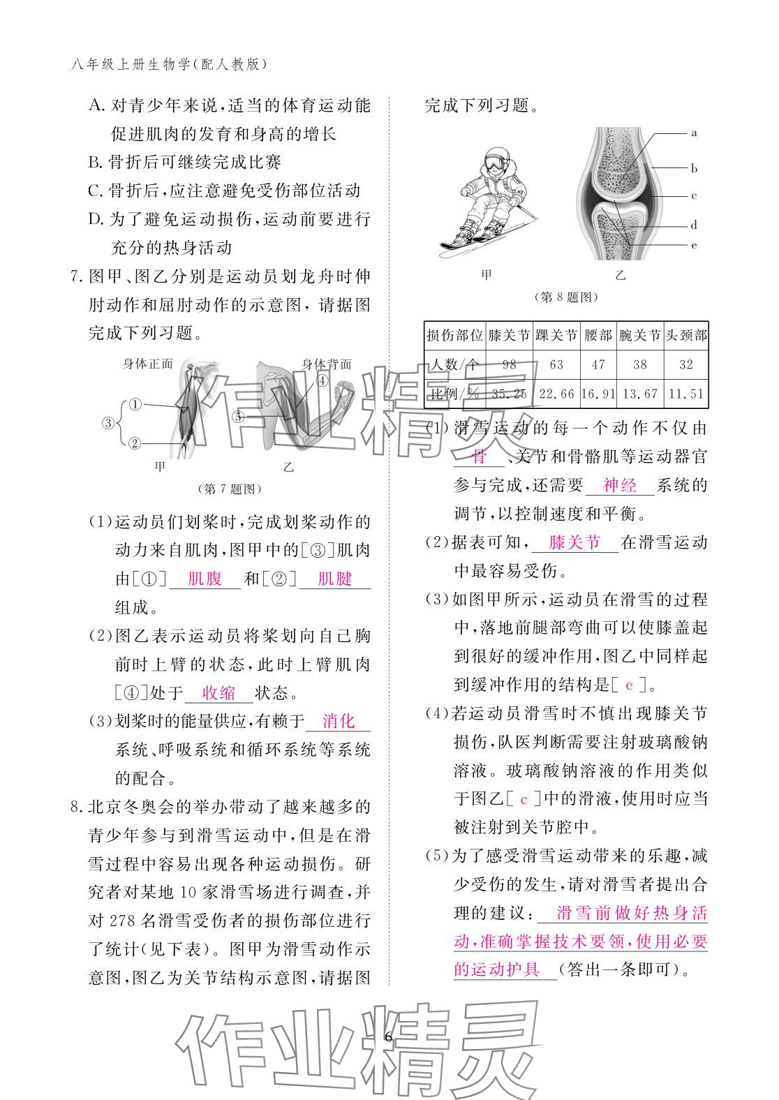 2025年作業本江西教育出版社八年級生物上冊人教版&nbsp;參考答案第6頁