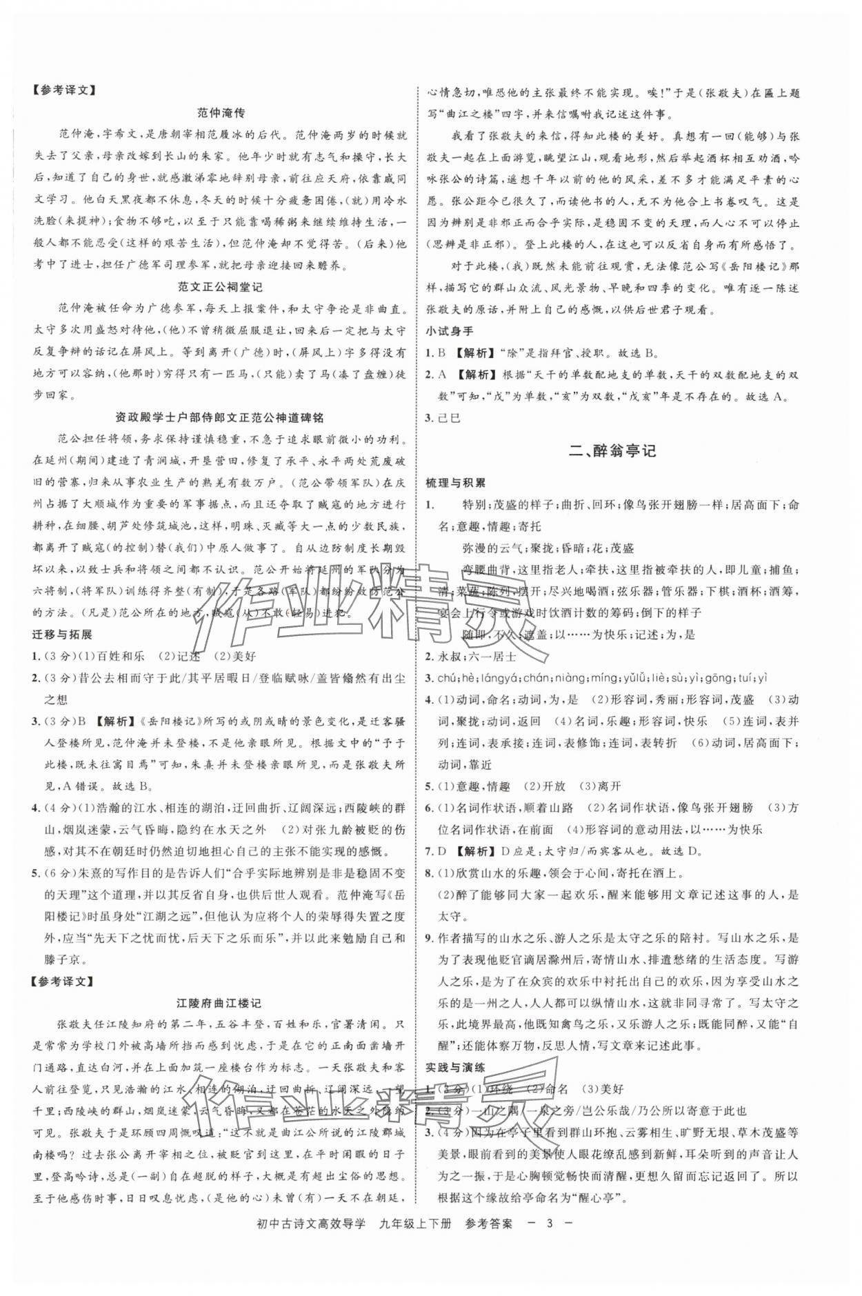 2025年古诗文高效导学九年级语文全一册人教版 参考答案第2页