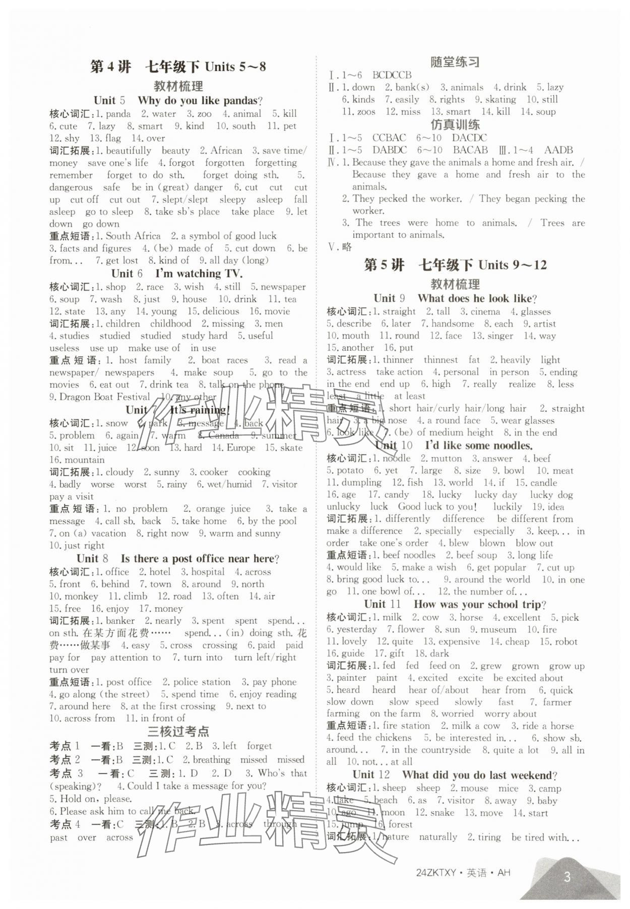 2024年中考特訓(xùn)營英語中考人教版安徽專版&nbsp;第3頁