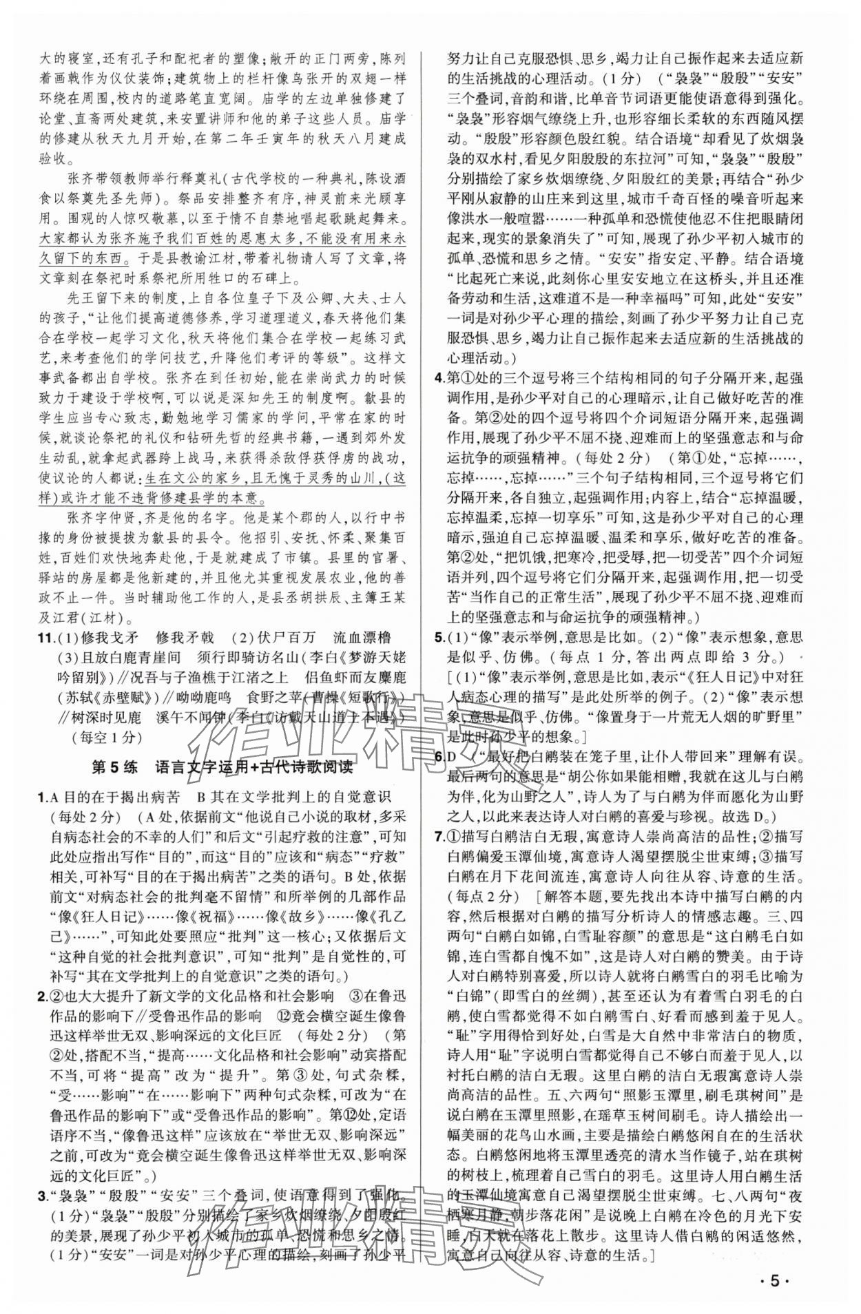 2025年高考語(yǔ)文核按鈕考前小綜合60練 參考答案第5頁(yè)