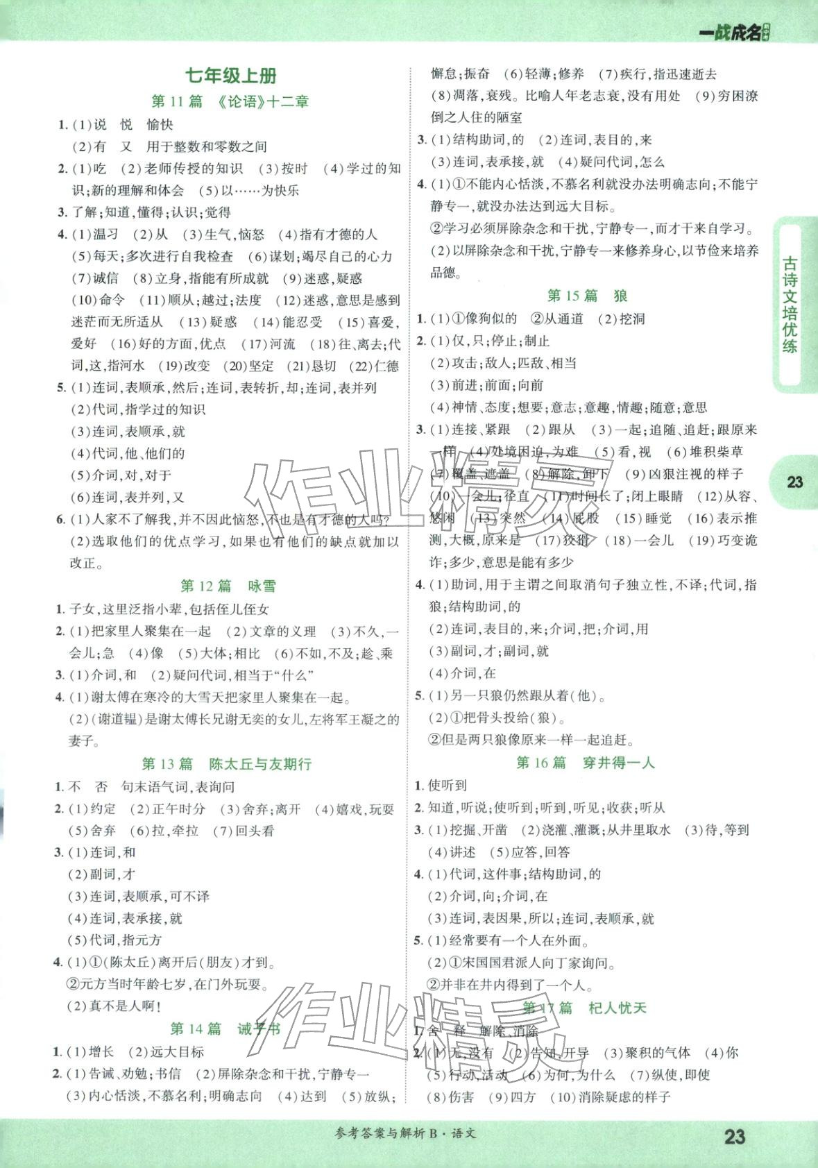 2026年纯练版总复习九年级语文全一册人教版&nbsp;第23页