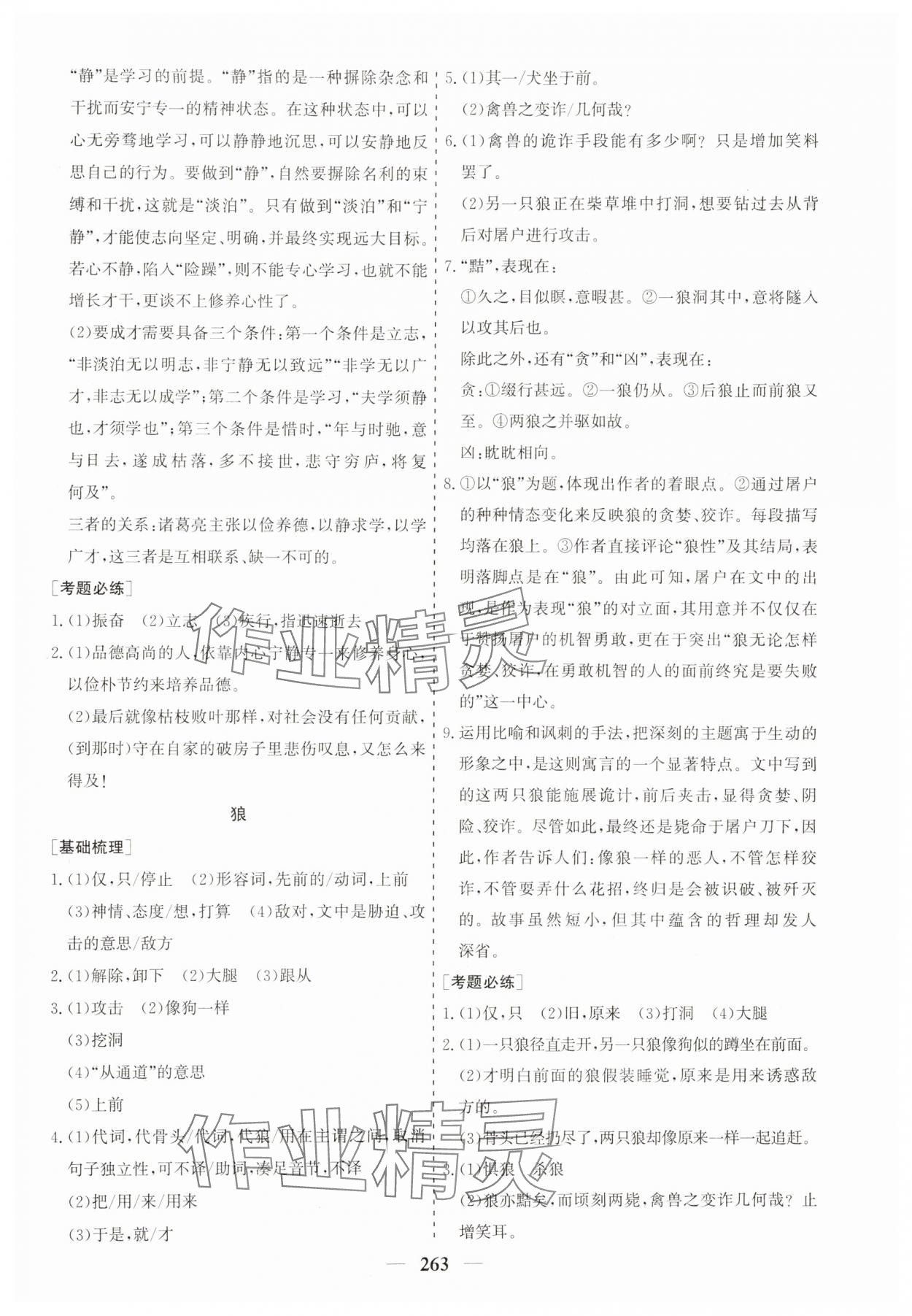 2025年點(diǎn)金考案語文中考 第3頁
