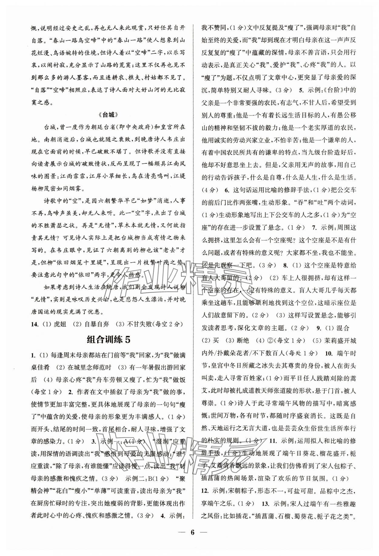 2024年通城學(xué)典初中語(yǔ)文閱讀組合訓(xùn)練七年級(jí)語(yǔ)文下冊(cè)人教版浙江專版 參考答案第6頁(yè)