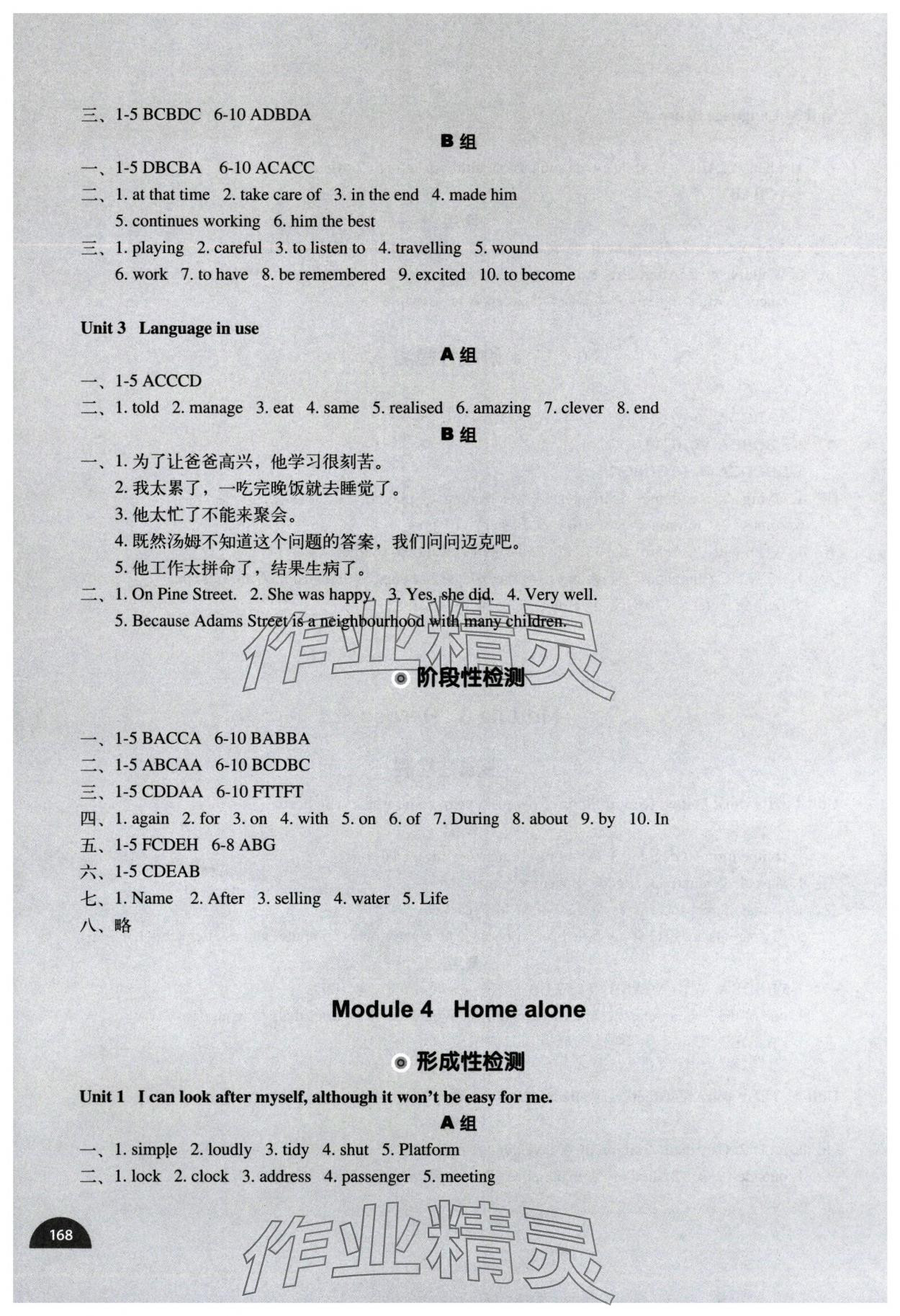 2025年教材补充练习九年级英语上册外研版天津专用 第4页