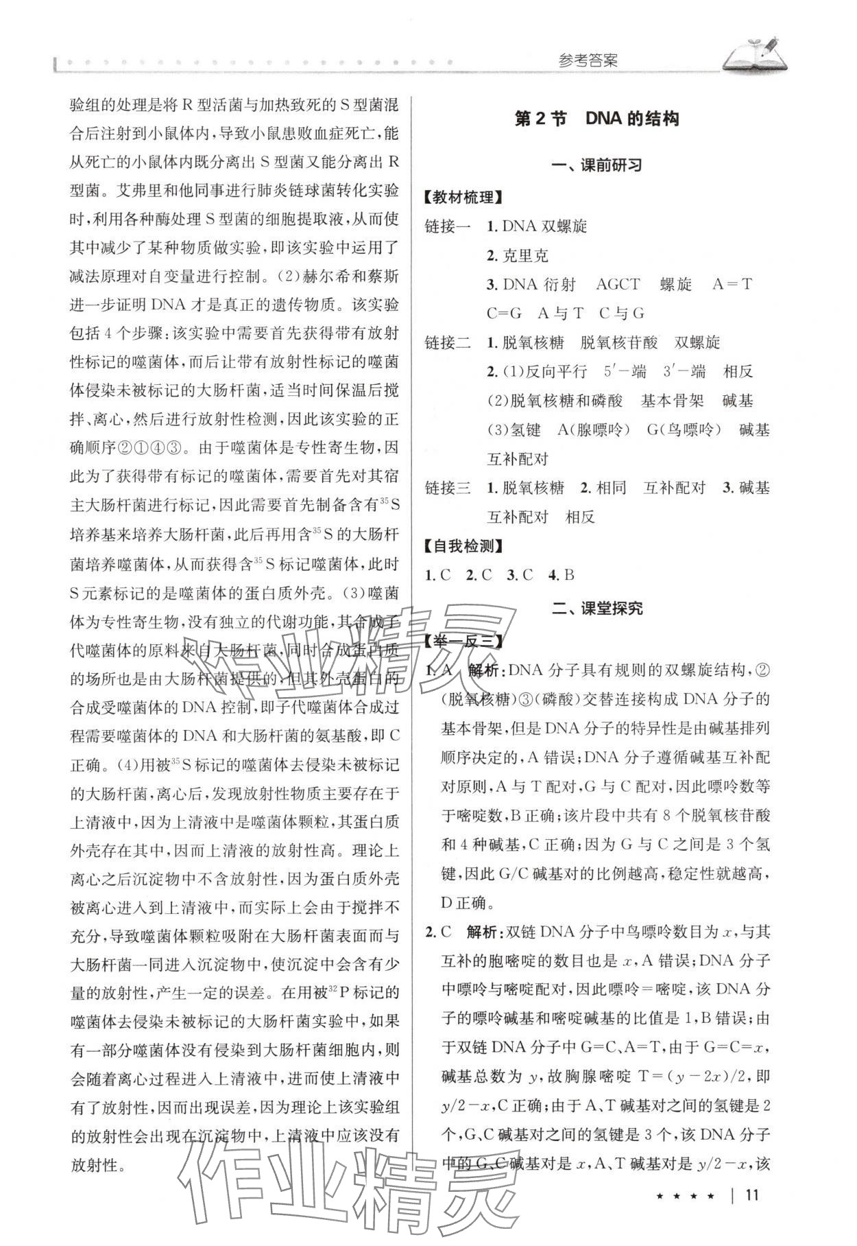 2025年墨池新學堂高中生物必修2人教版 參考答案第11頁