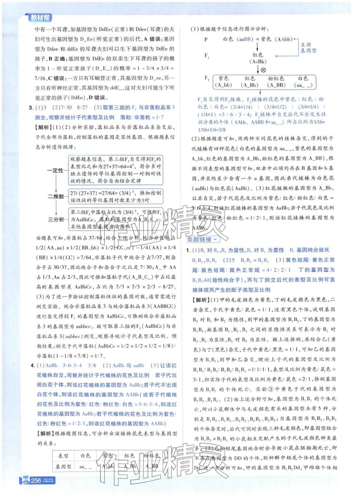 2025年教材幫高中生物必修第二冊人教版 第4頁