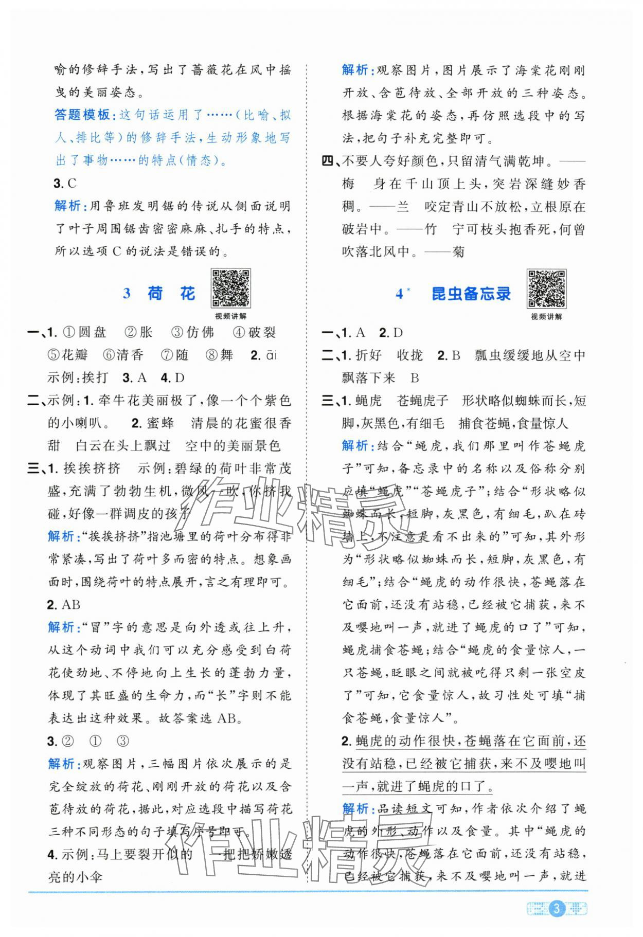 2025年阳光同学课时优化作业三年级语文下册人教版江西专版&nbsp;参考答案第3页
