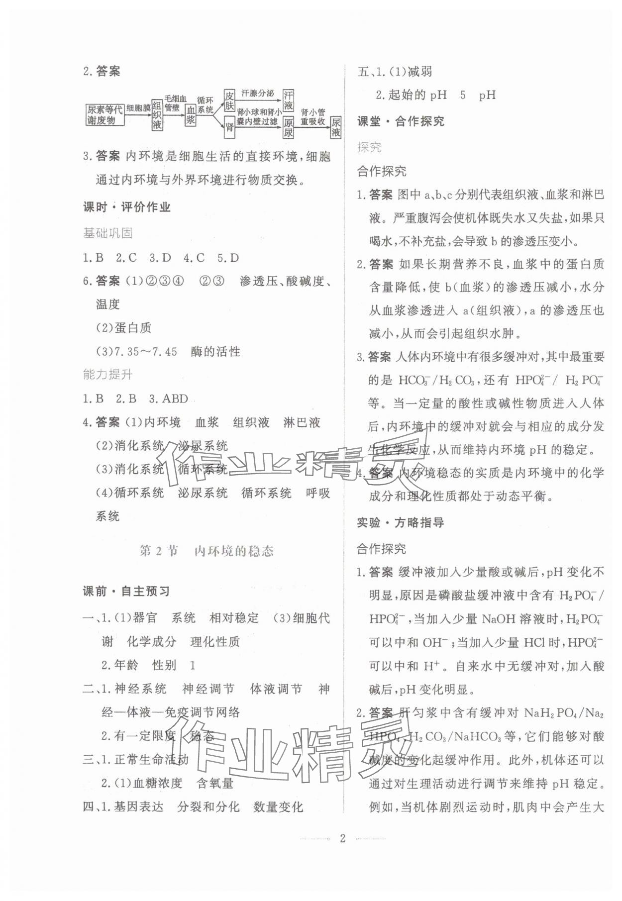 2024年同步學考練高中生物選擇性必修1人教版 第2頁