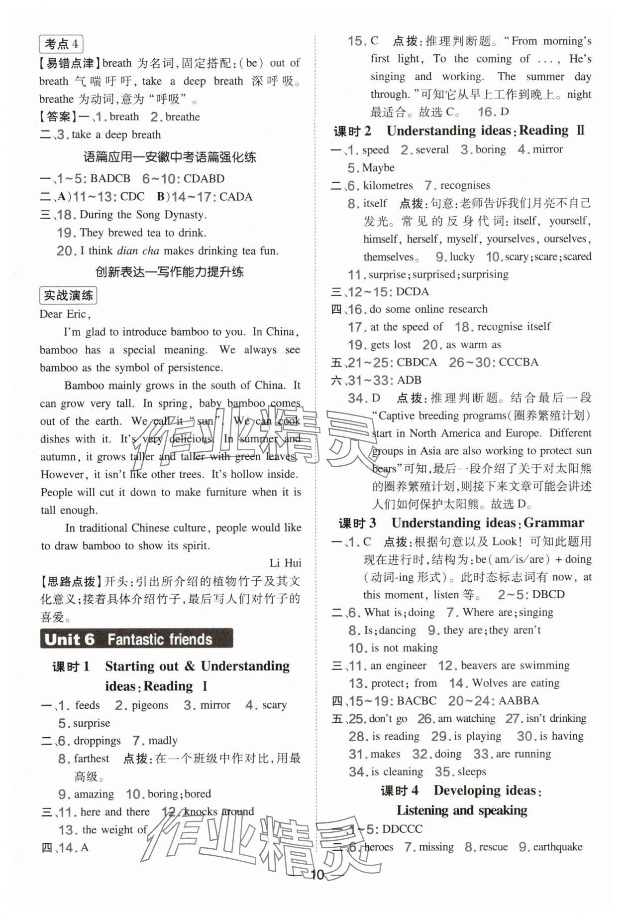 2025年点拨训练七年级英语上册外研版安徽专版 参考答案第10页