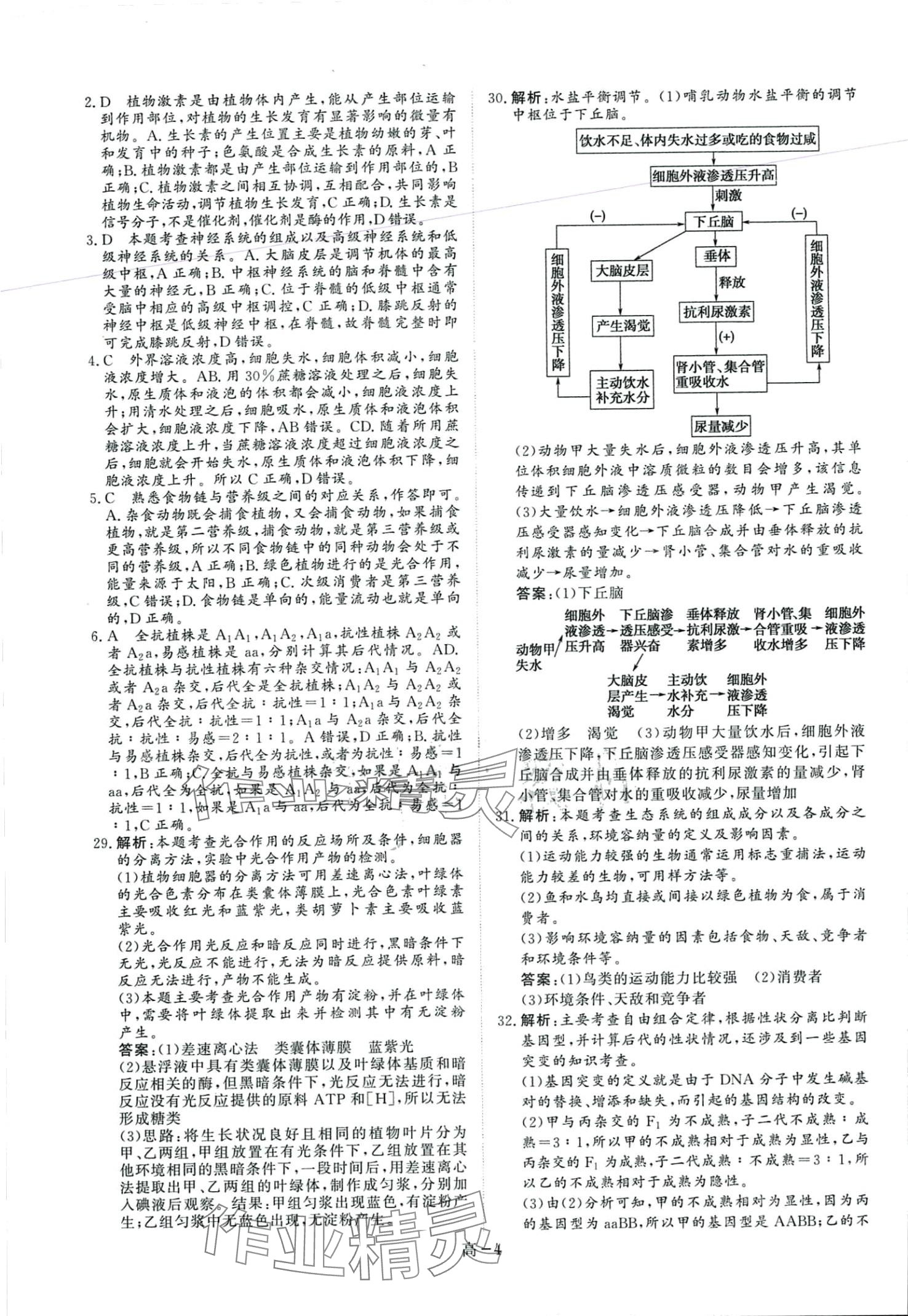 2024年創(chuàng)新教程最新試題精選陽(yáng)光出版社高中生物 第4頁(yè)