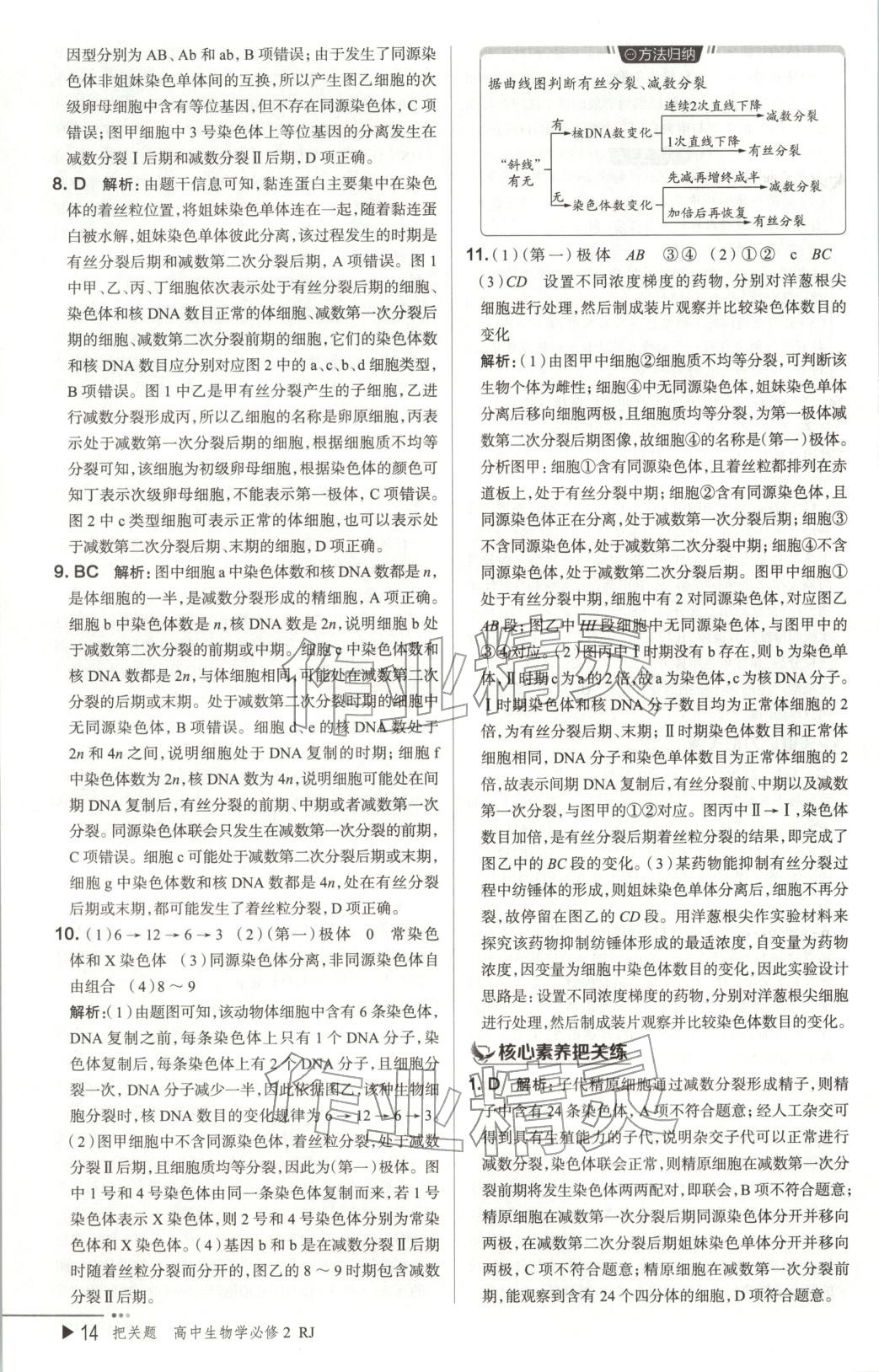 2026年把關(guān)題高中生物必修第二冊(cè)人教版&nbsp;第14頁(yè)