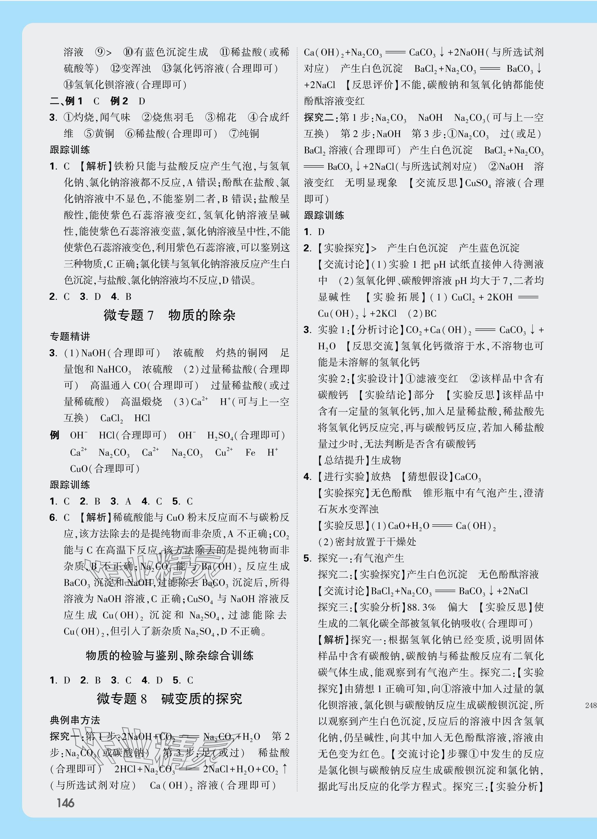 2025年萬唯中考試題研究化學(xué)湖北專版 參考答案第10頁