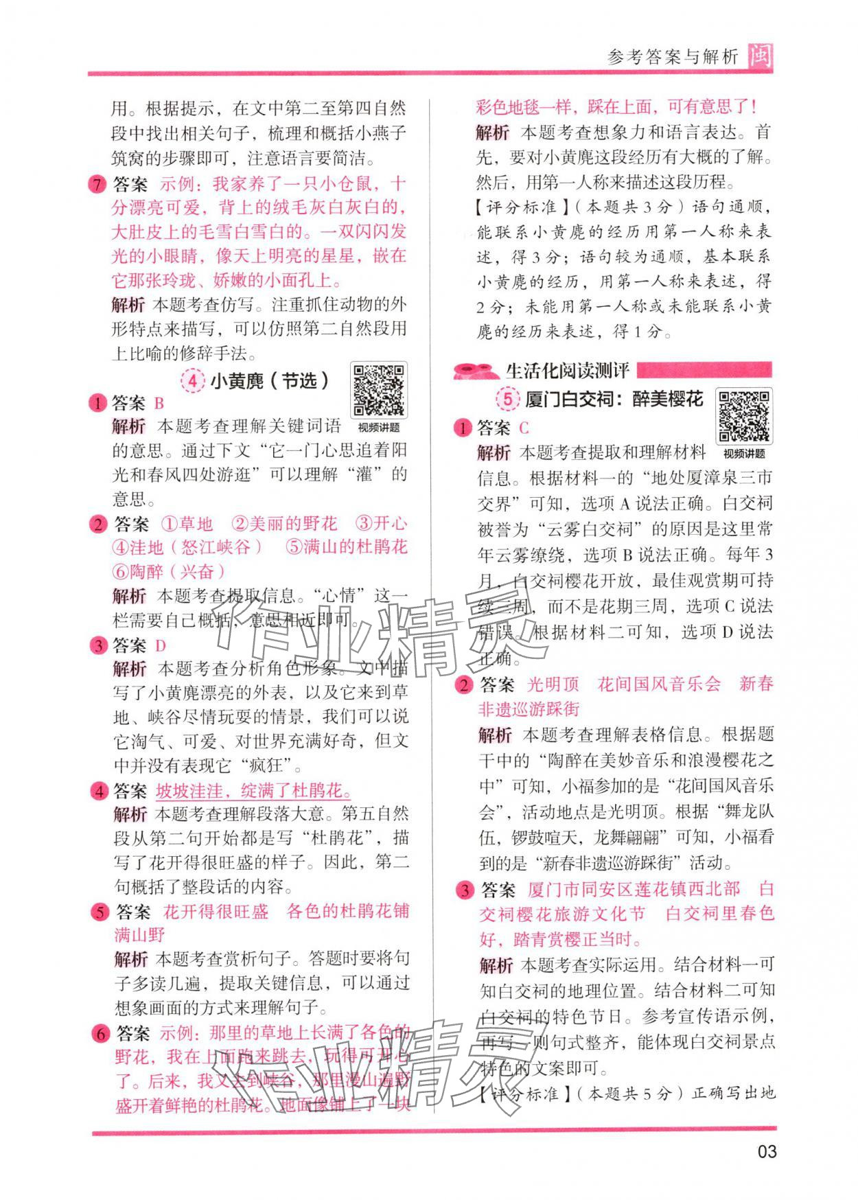 2025年木头马阅读力测评三年级语文人教版发展篇B版福建专版&nbsp;参考答案第3页