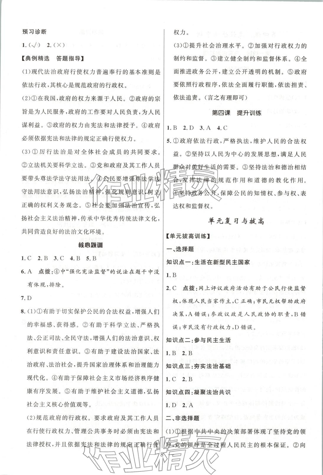 2025年頂尖課課練九年級道德與法治全一冊人教版貴州專版&nbsp;第8頁
