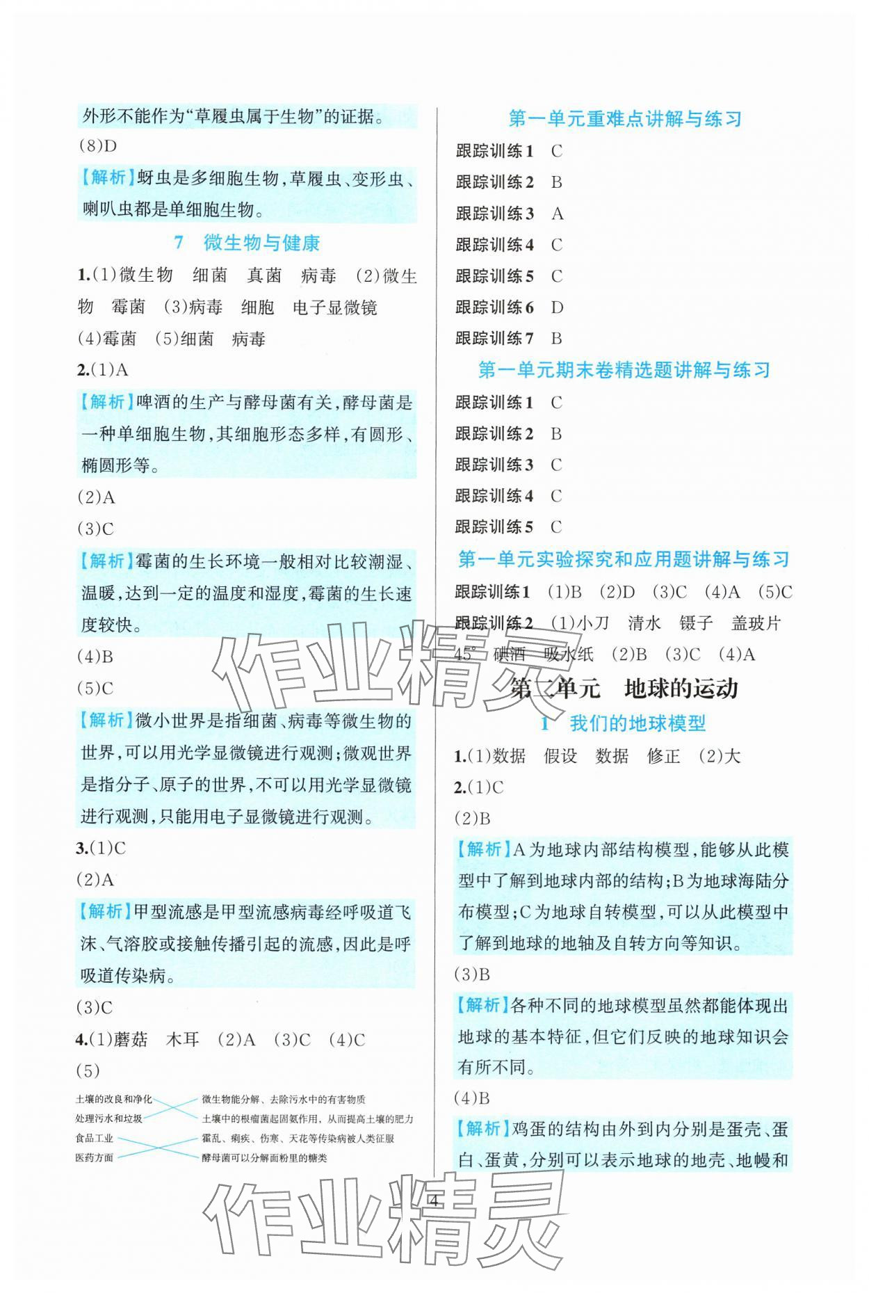 2024年全優(yōu)方案夯實(shí)與提高六年級(jí)科學(xué)上冊(cè)教科版 參考答案第4頁(yè)