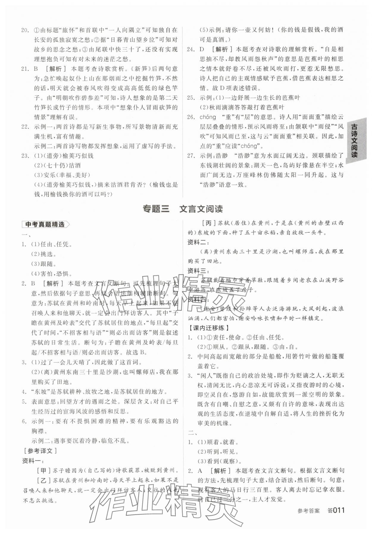 2025年全品中考復(fù)習(xí)方案語文人教版河北專版 參考答案第10頁