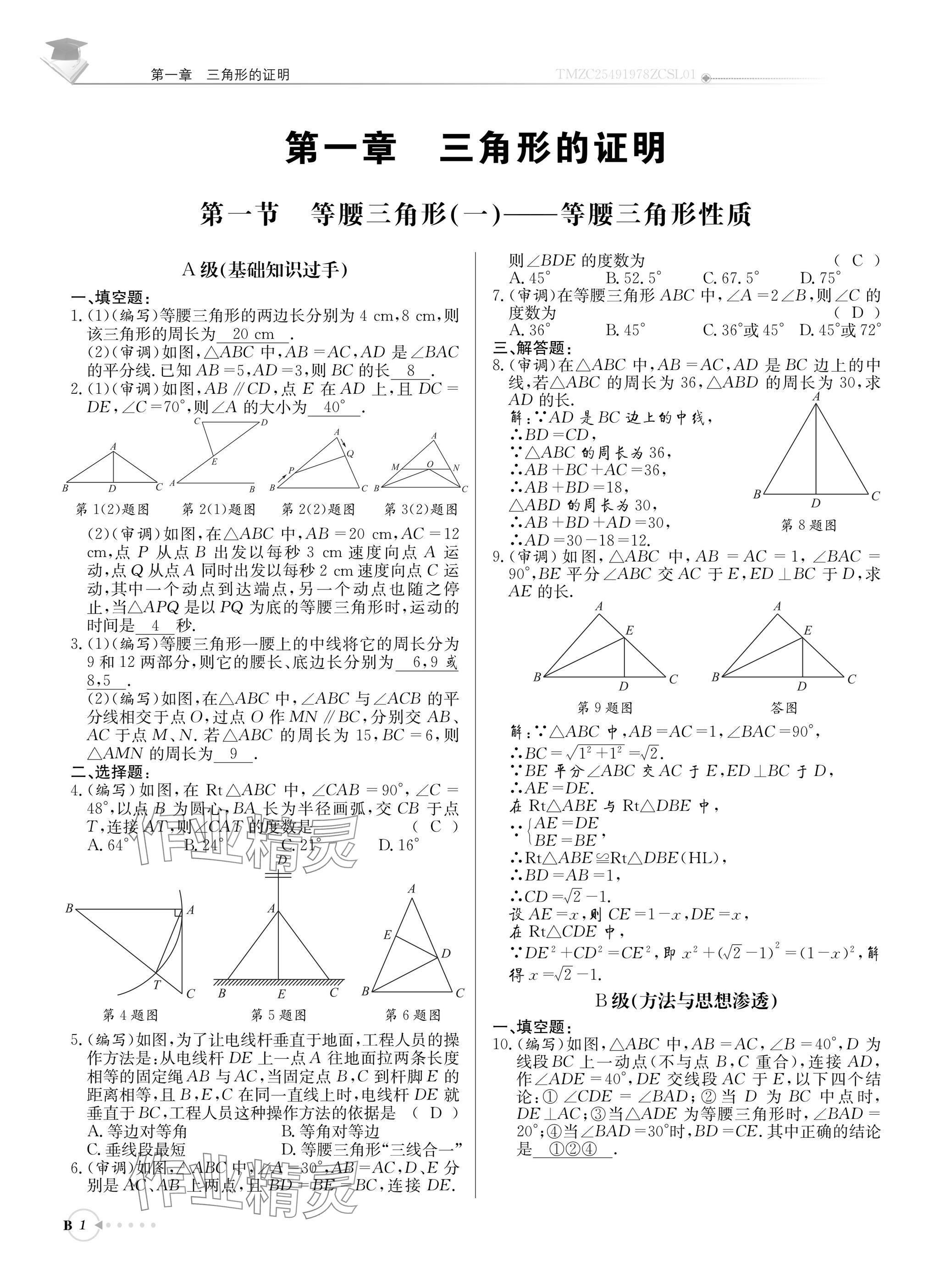2025年初中数学每日核心导学八年级下册北师大版 参考答案第1页