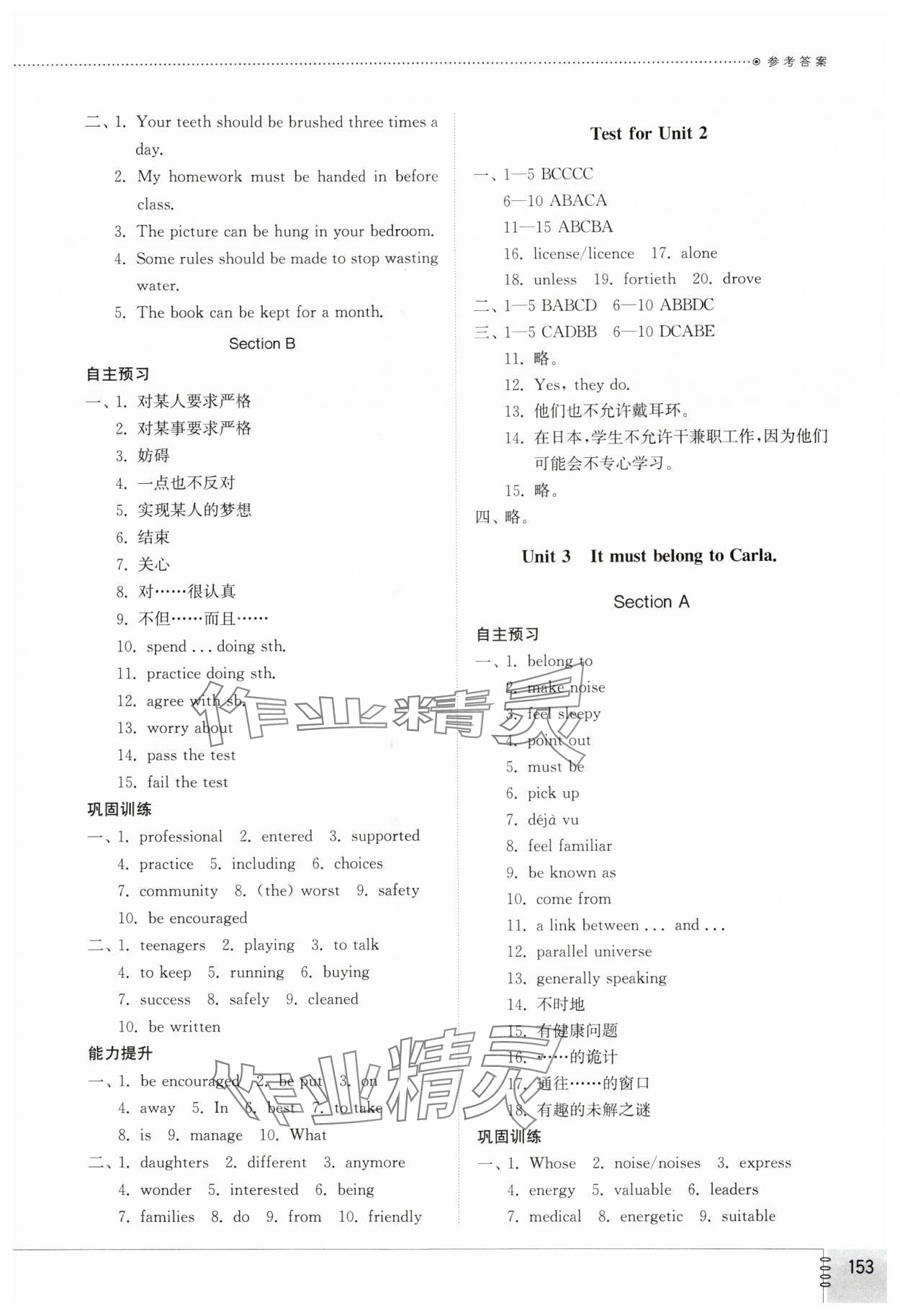 2025年同步練習冊山東教育出版社九年級英語全一冊魯教版54制 第3頁