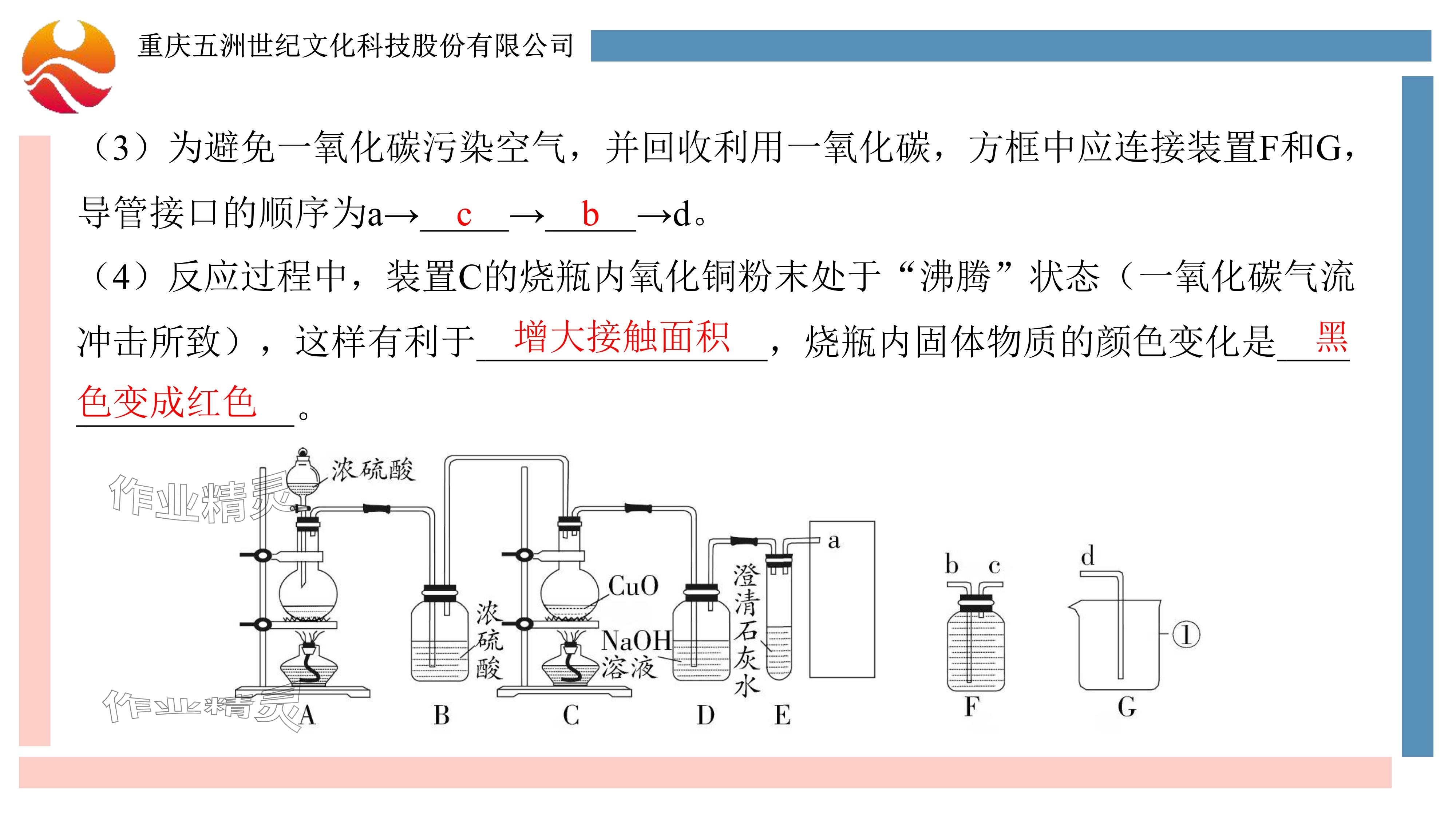 2024年重慶市中考試題分析與復(fù)習(xí)指導(dǎo)化學(xué) 參考答案第96頁(yè)