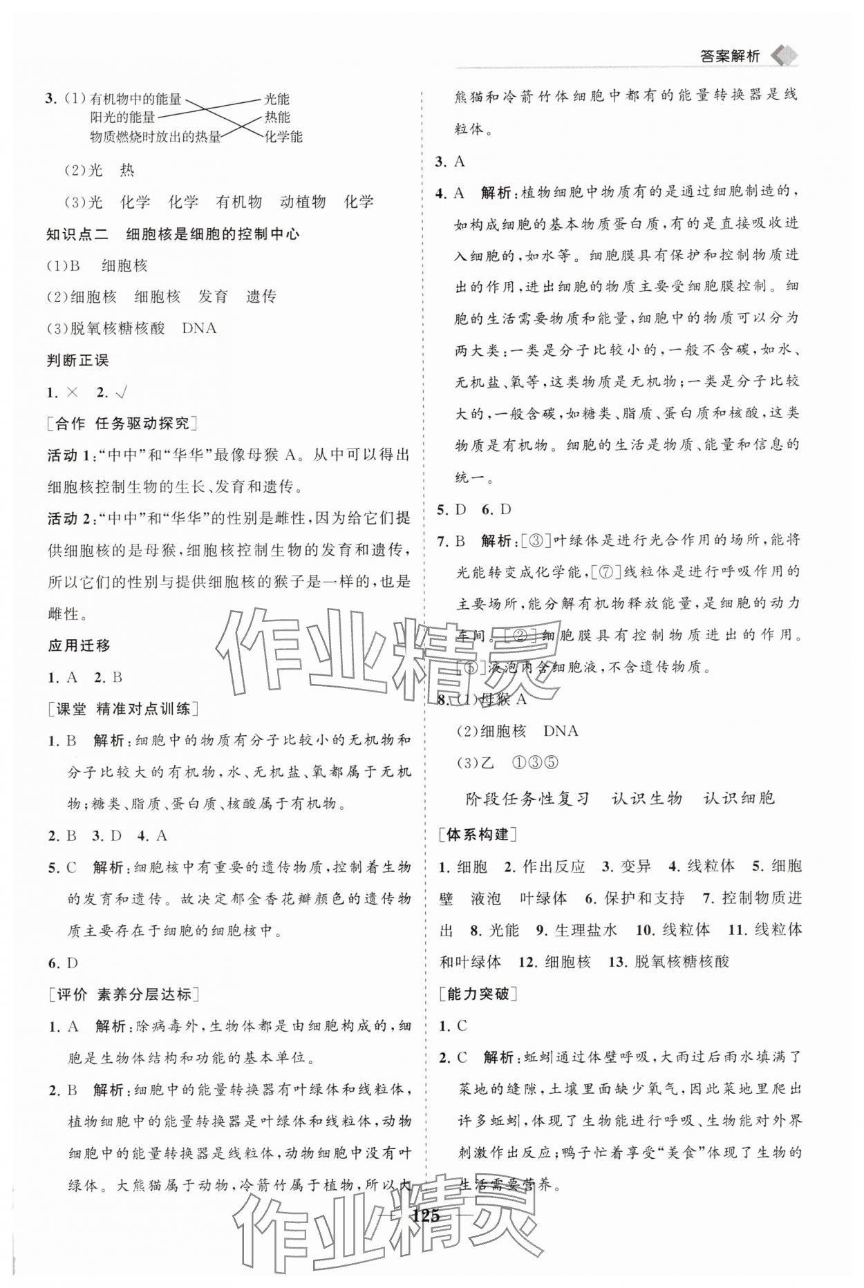 2025年新课程同步练习册七年级生物上册人教版&nbsp;第5页