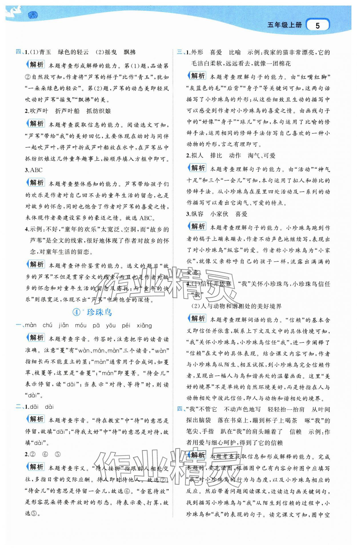 2025年名师面对面先学后练五年级语文上册人教版 参考答案第5页