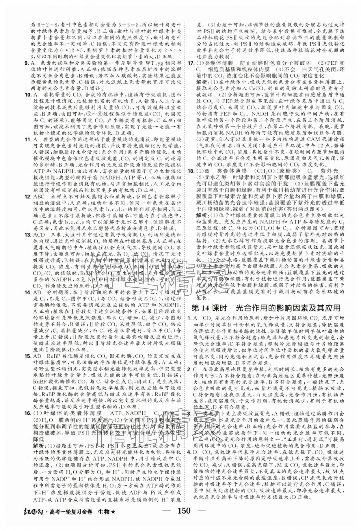 2025年紅對勾高考一輪復習金卷生物 第12頁