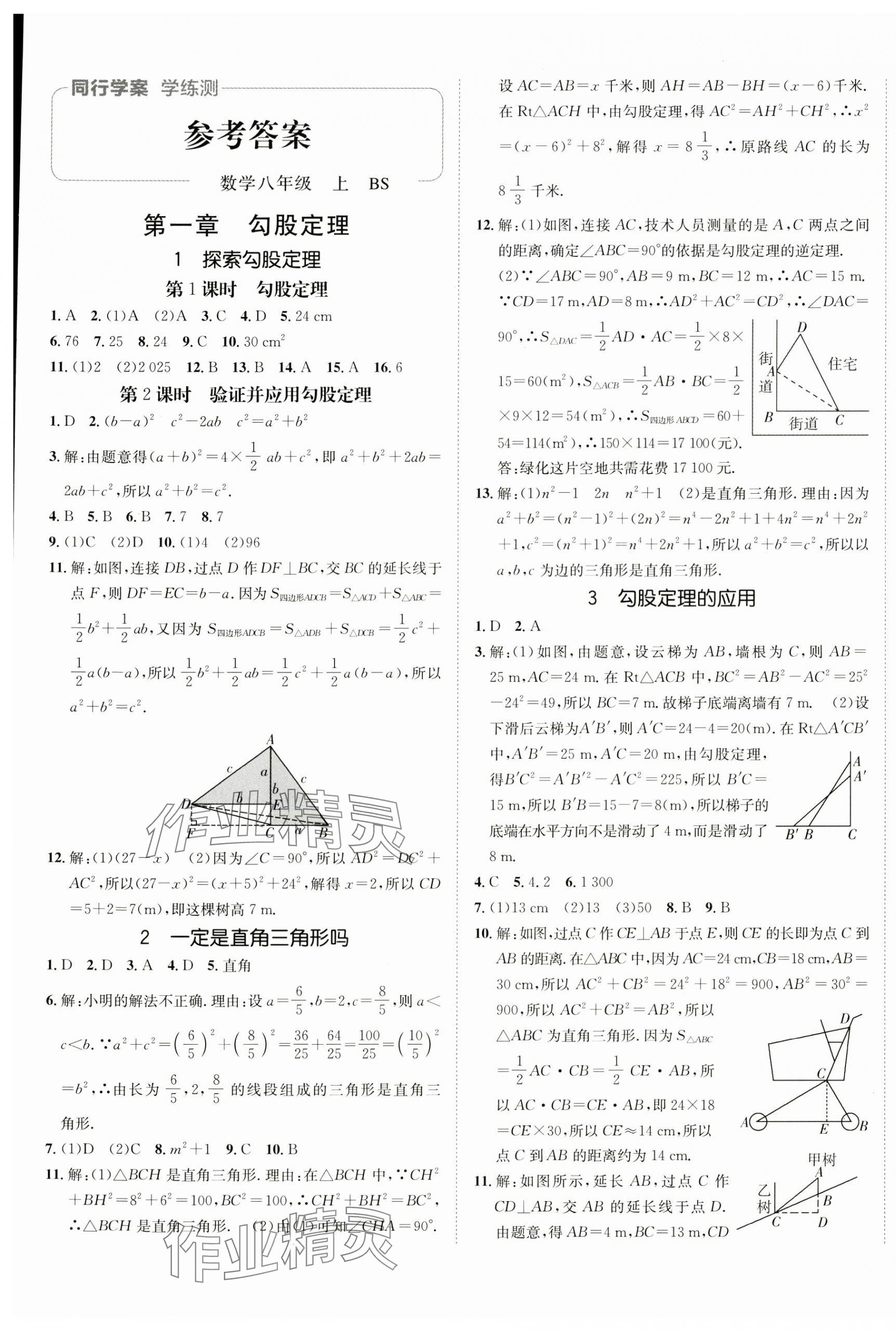 2024年同行学案八年级数学上册北师大版 第1页