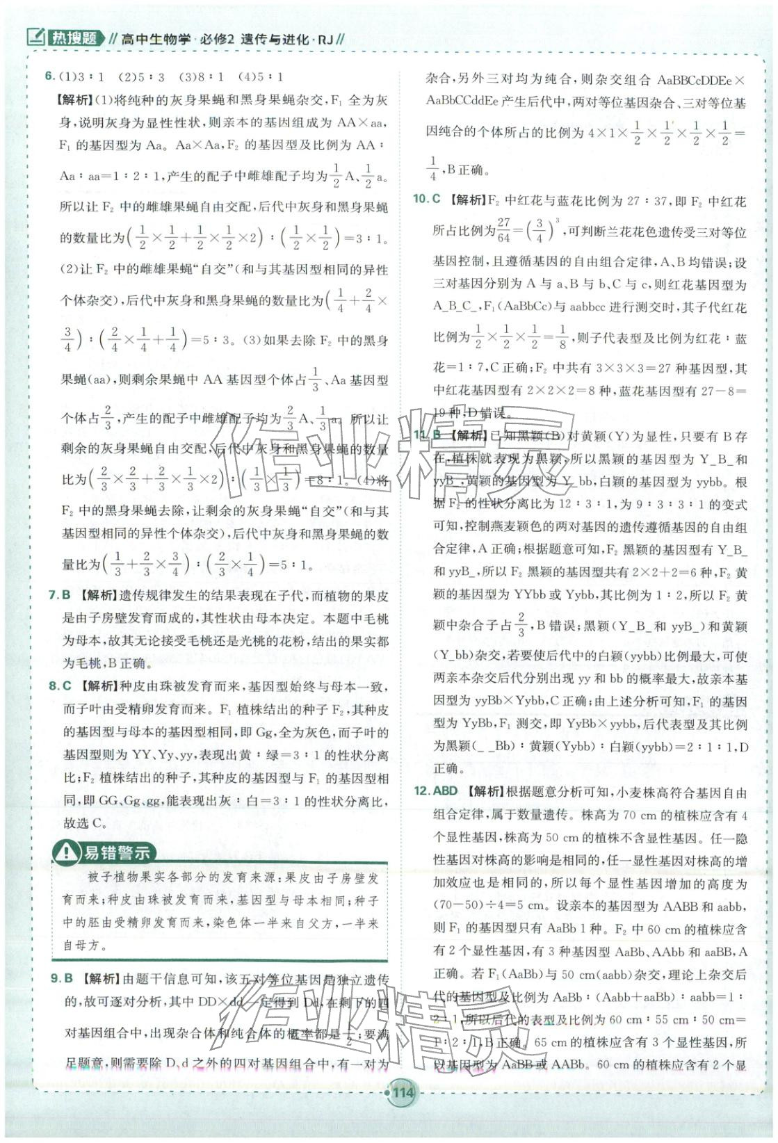 2026年热搜题高中生物必修第二册人教版 第8页