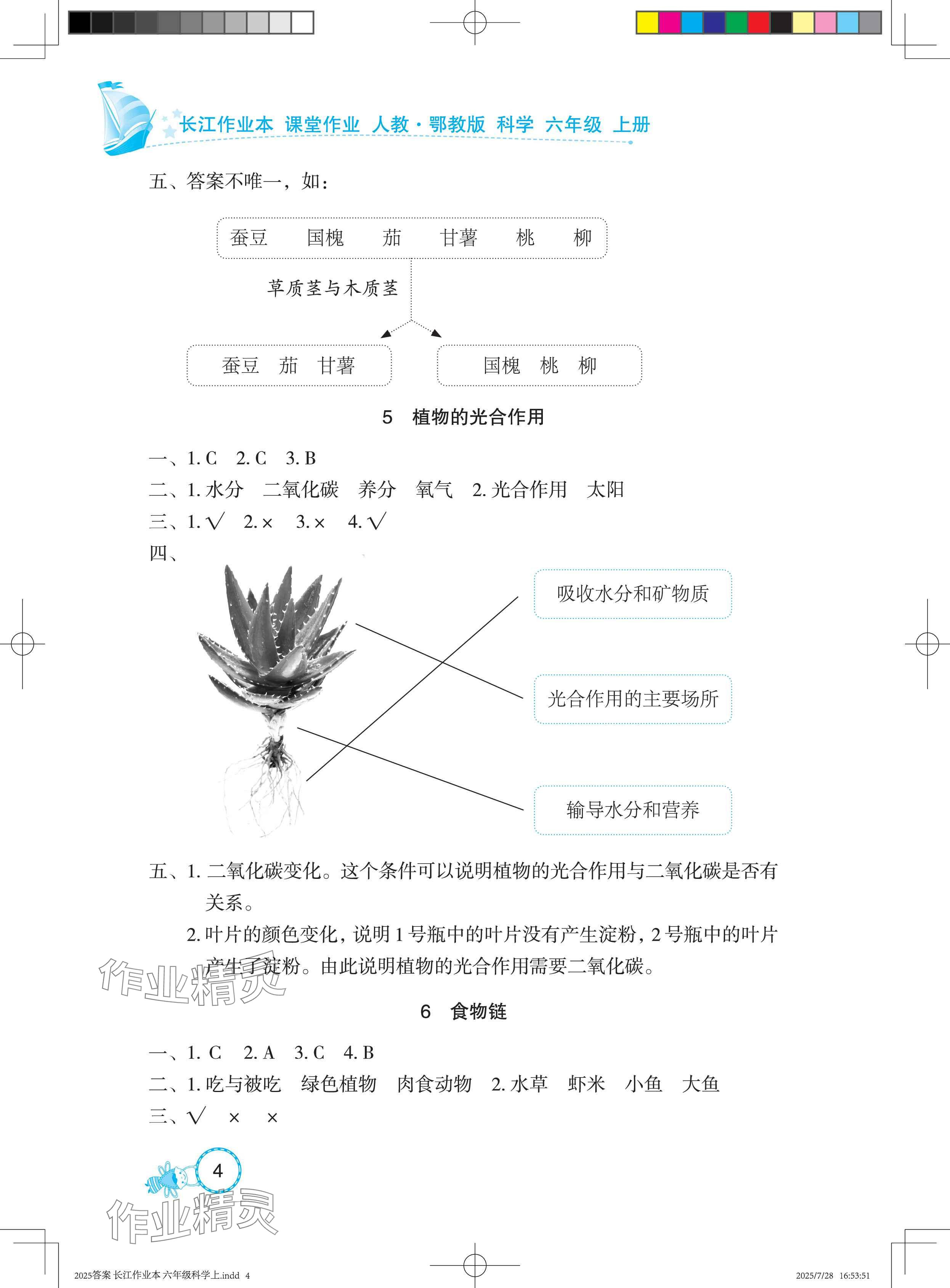 2025年长江作业本课堂作业六年级科学上册鄂教版&nbsp;参考答案第4页