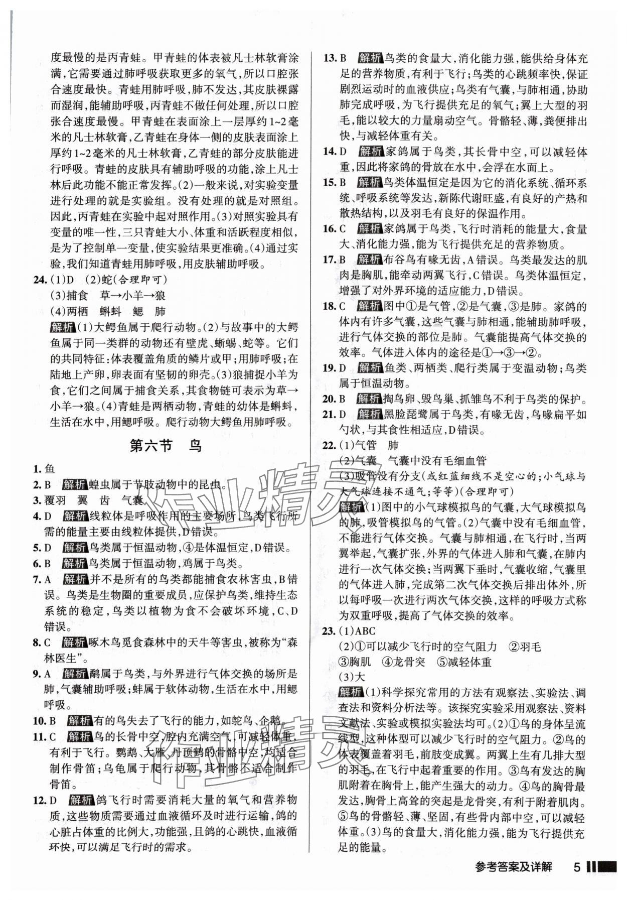 2024年名校作業(yè)八年級(jí)生物上冊人教版山西專版 參考答案第5頁