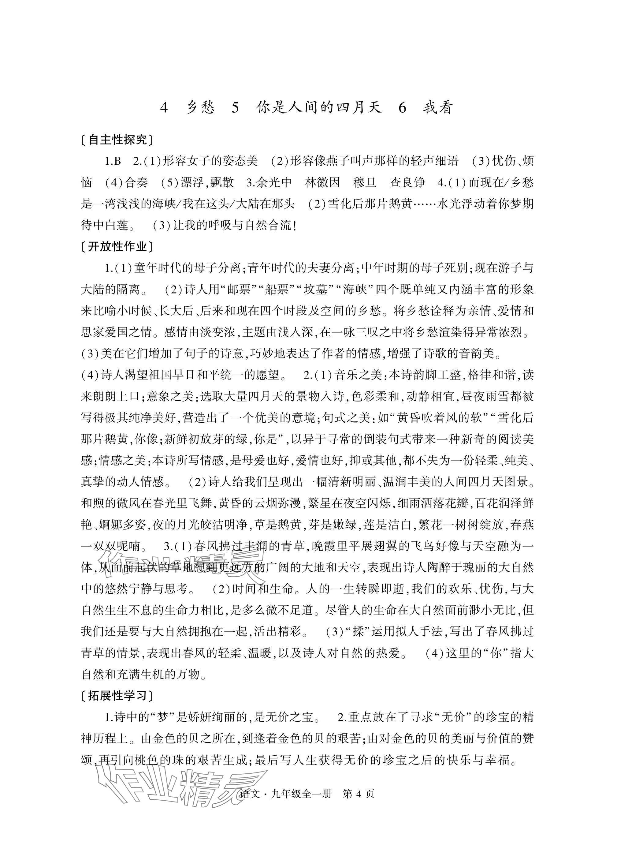 2025年自主学习指导课程与测试九年级语文全一册人教版&nbsp;参考答案第4页