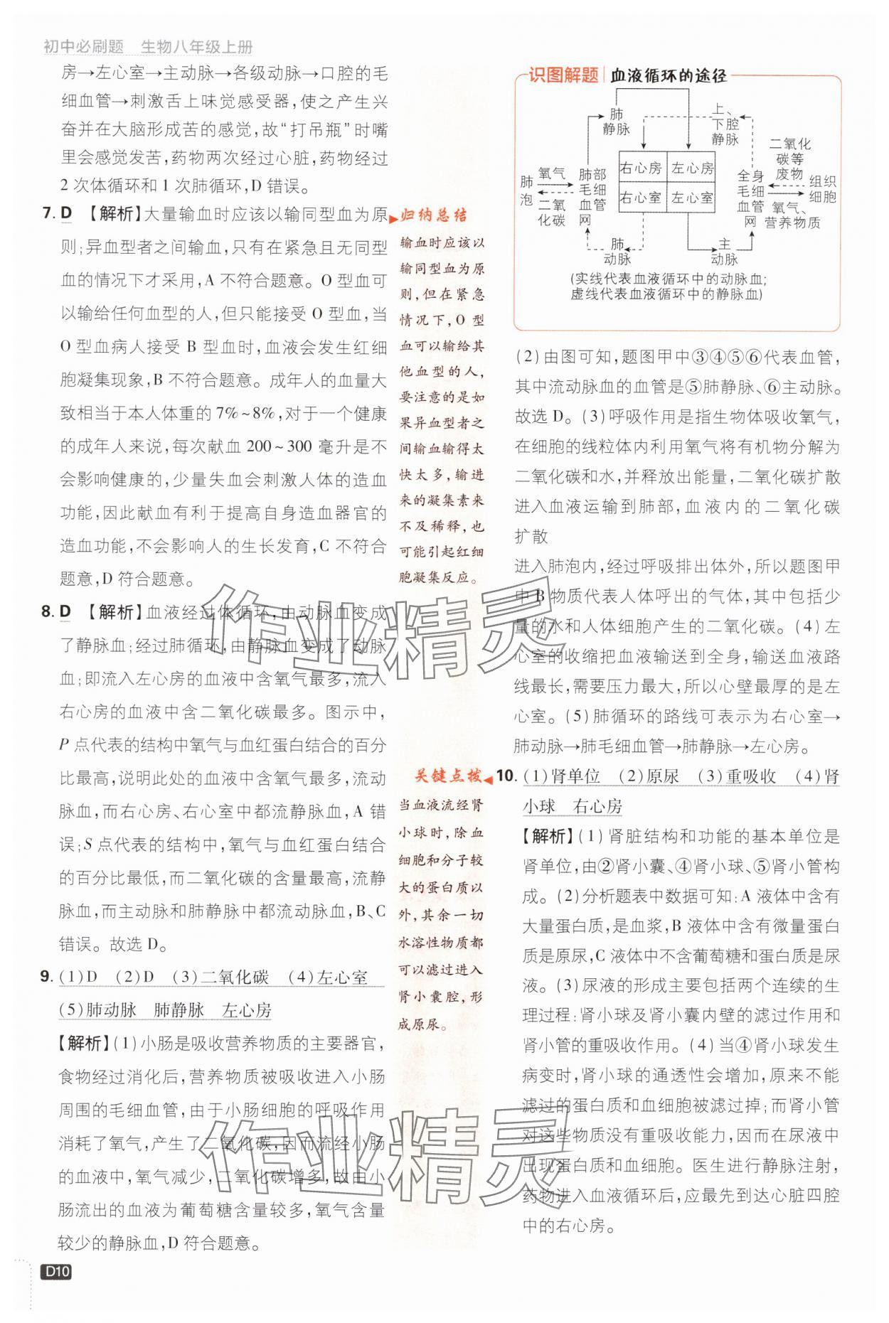 2023年初中必刷题八年级生物上册苏教版 参考答案第10页