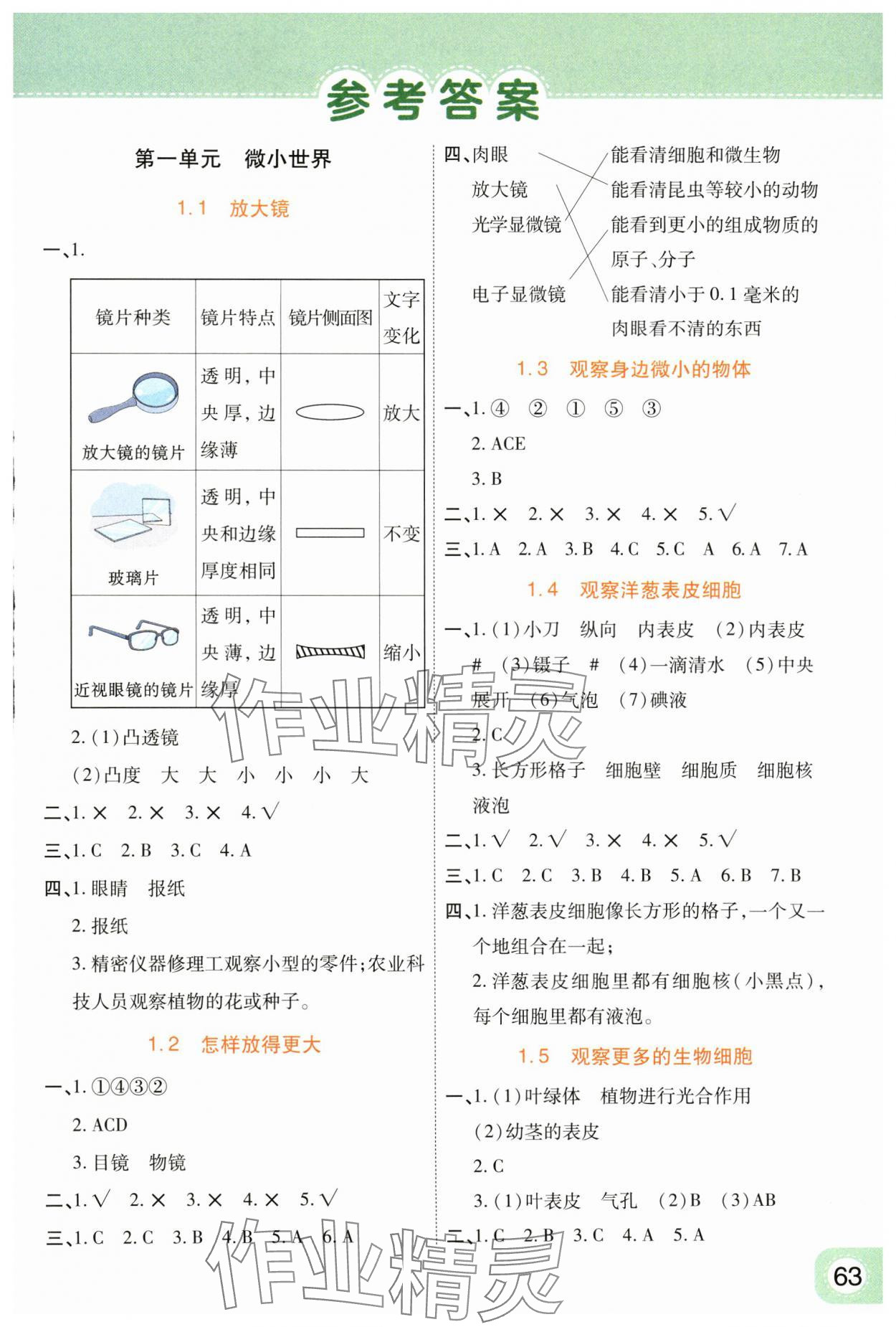 2024年黃岡同步訓(xùn)練六年級(jí)科學(xué)上冊(cè)教科版 參考答案第1頁(yè)