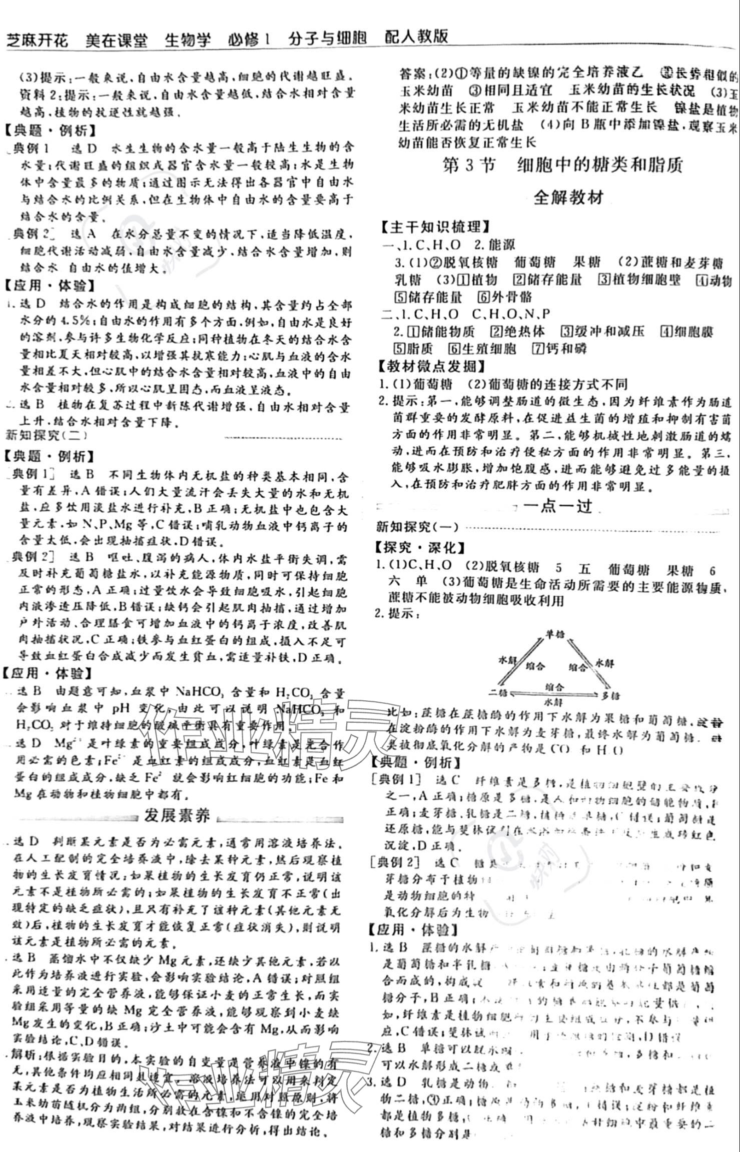 2023年芝麻開花美在課堂高中生物必修1人教版 參考答案第4頁