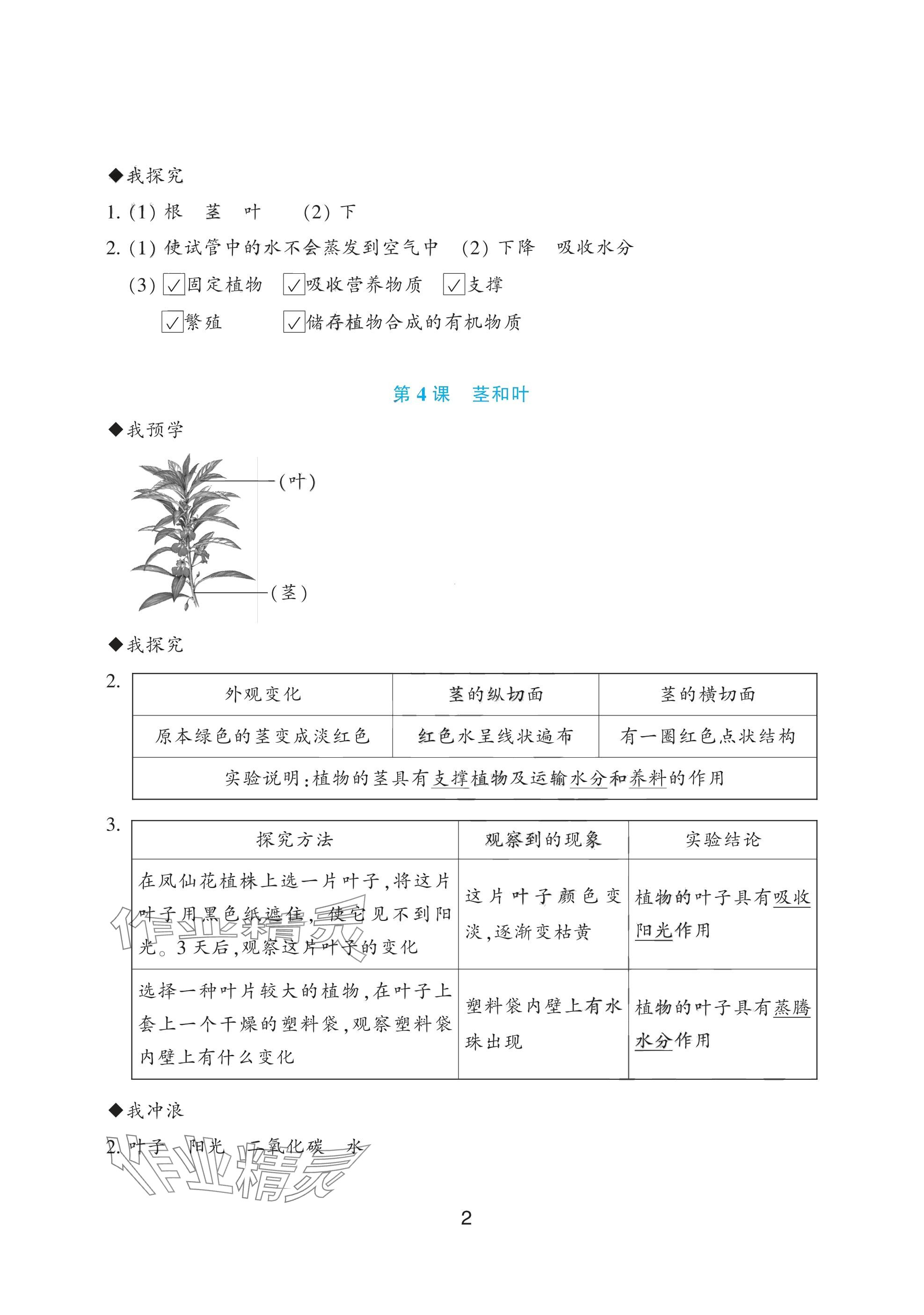 2025年預(yù)學(xué)與導(dǎo)學(xué)四年級科學(xué)下冊教科版 參考答案第2頁