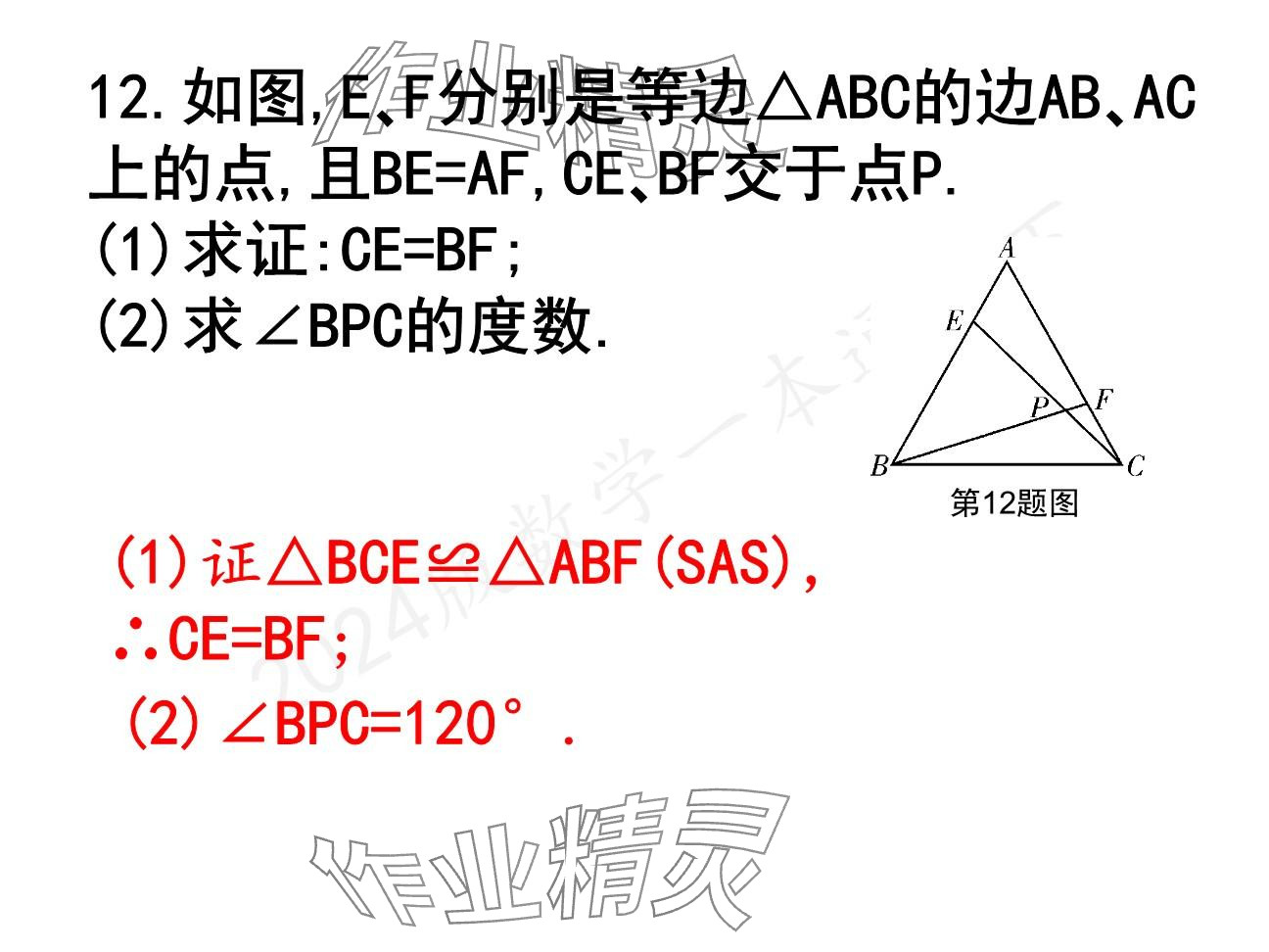 2025年一本通武漢出版社八年級數(shù)學(xué)下冊北師大版精簡版 參考答案第14頁