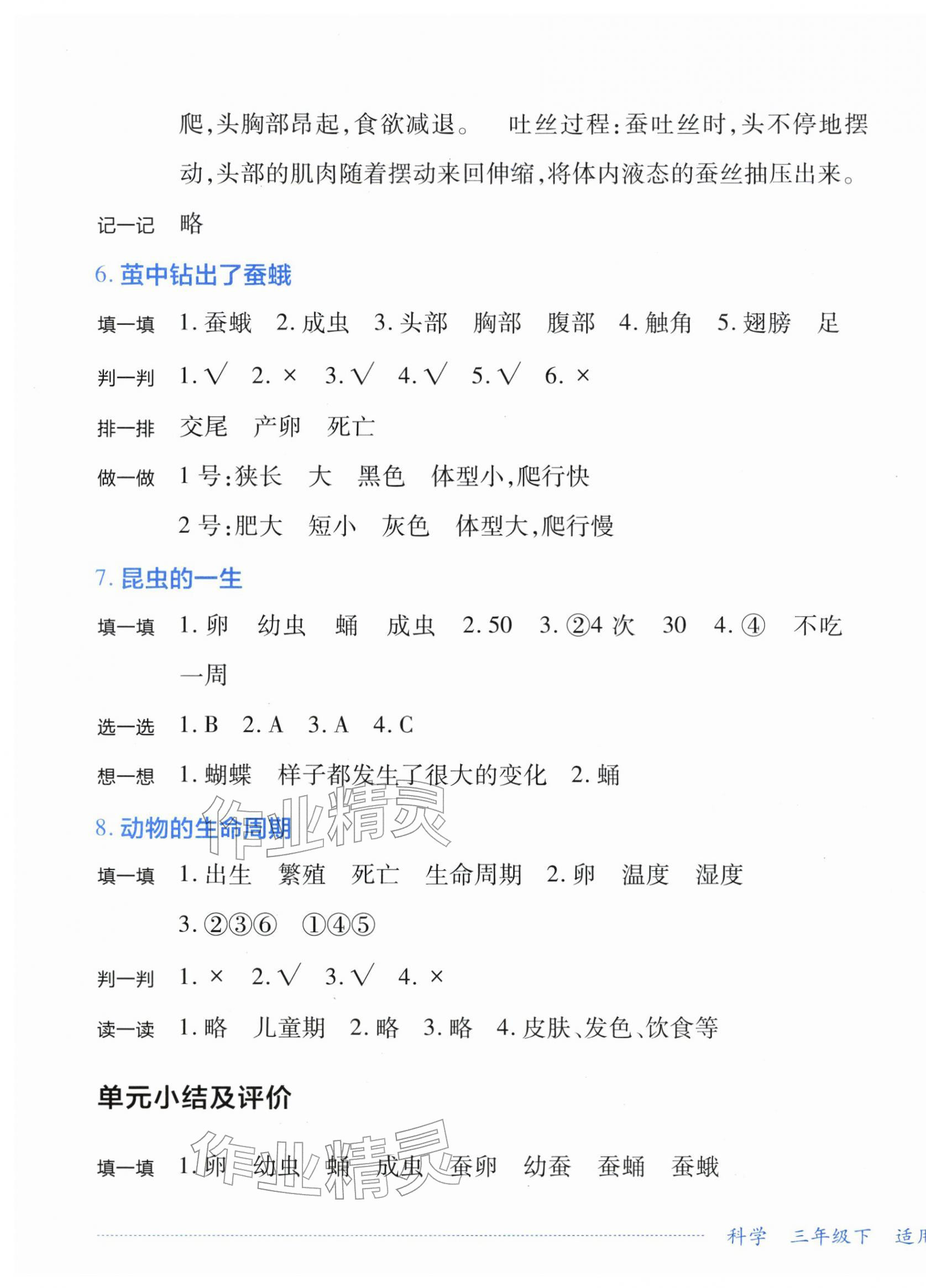 2026年学习实践园地三年级科学下册教科版&nbsp;第5页
